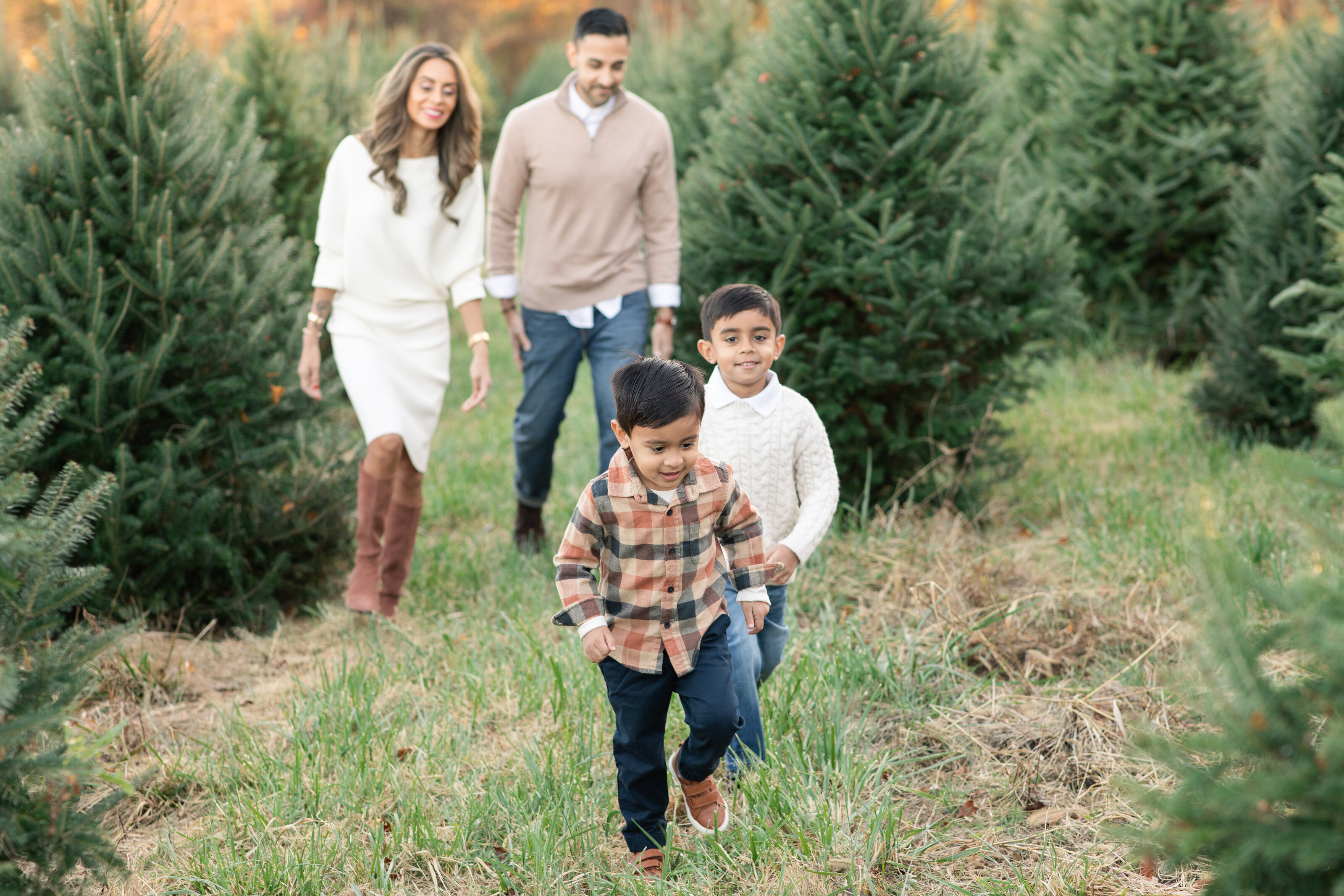 Tree farm