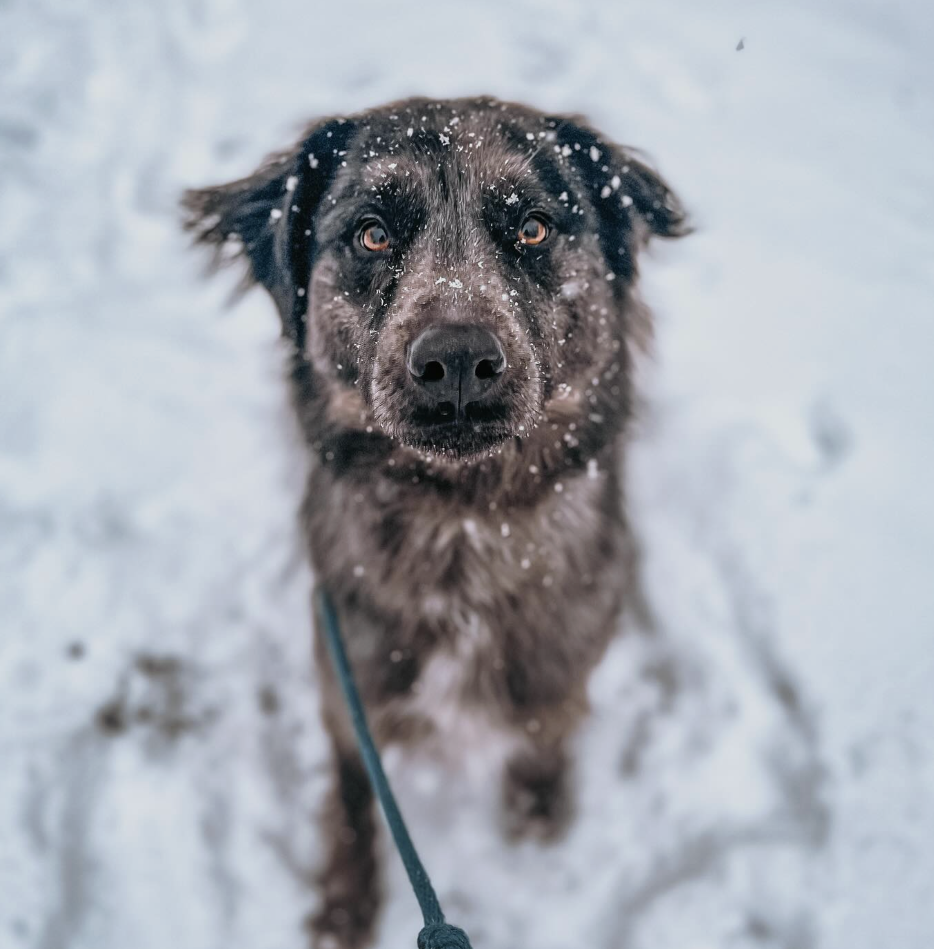 Screenshot 2025-10-24 at 2.38.31 PM