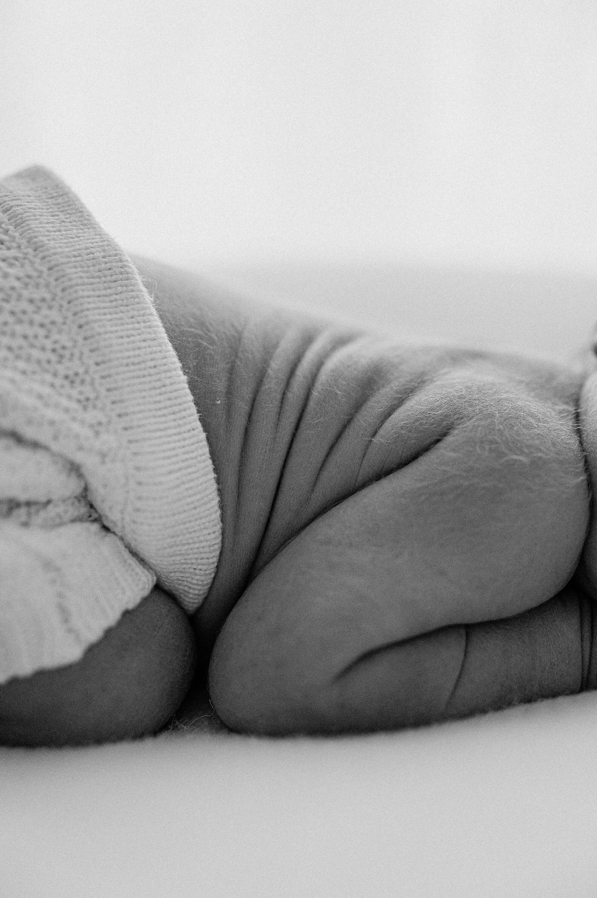 newborn baby rolls based in York, near me, near Leeds, Harrogate
