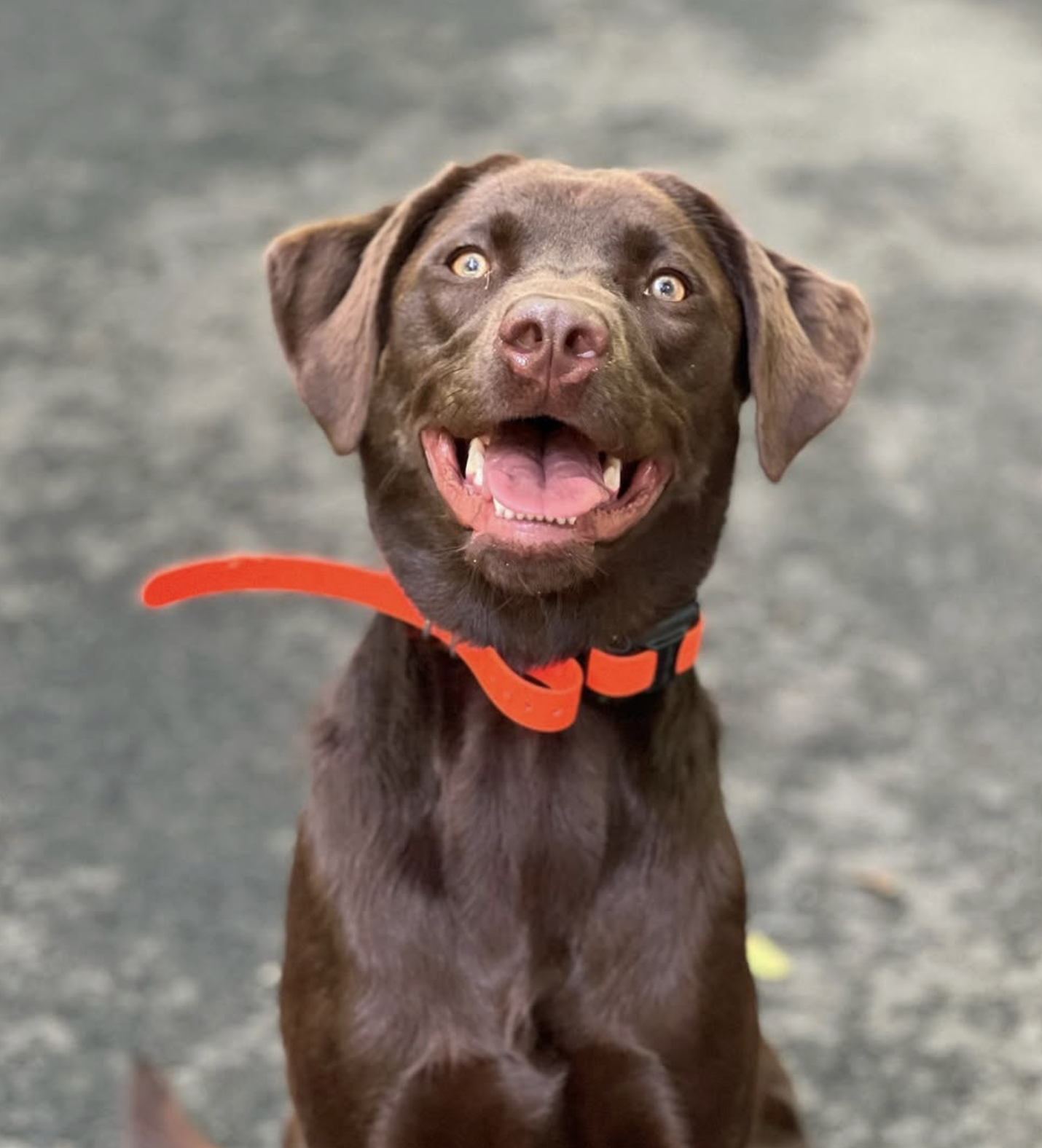 Screenshot 2025-10-24 at 2.39.45 PM