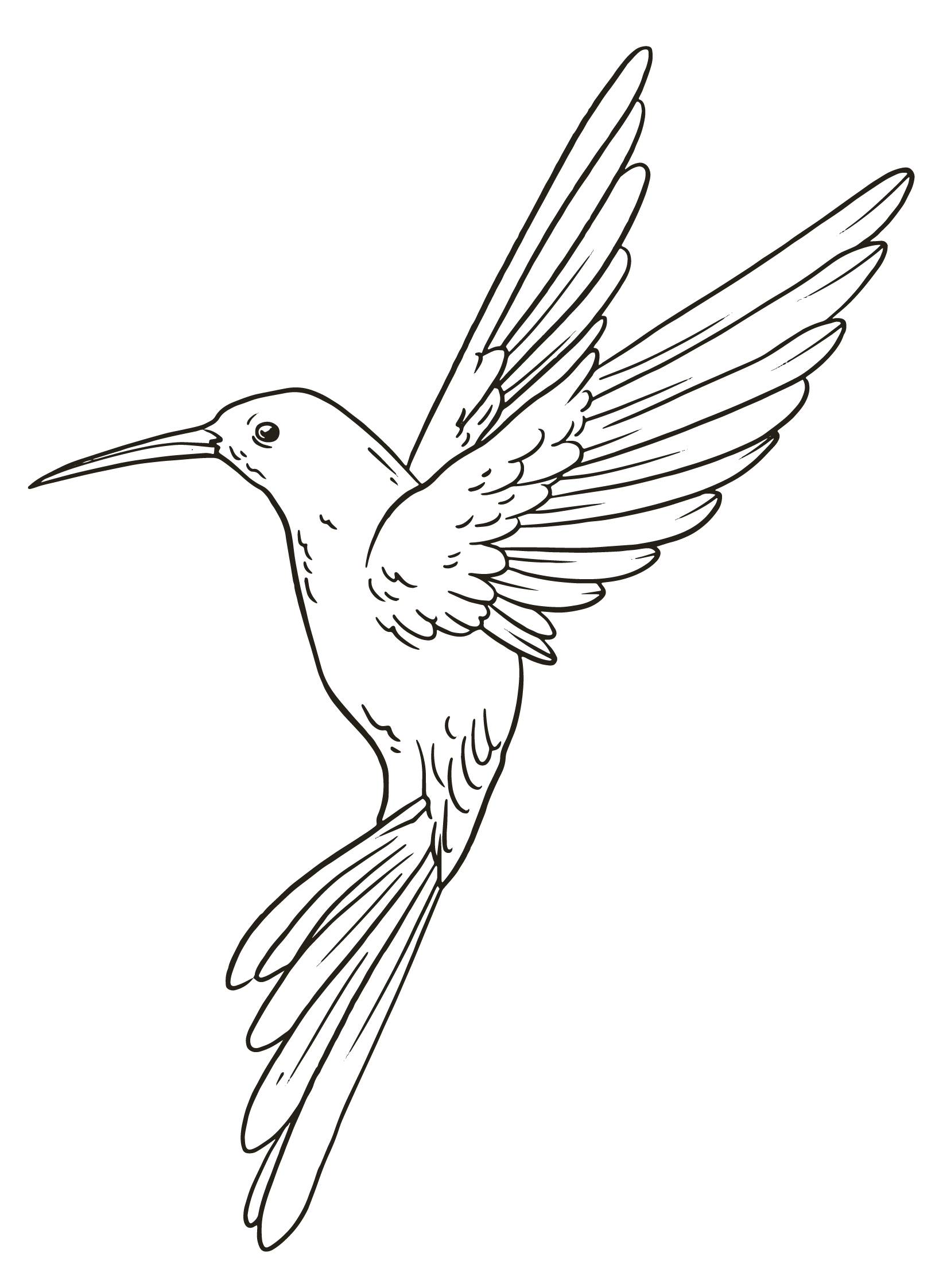 custom illustrations and logos for photographers 44