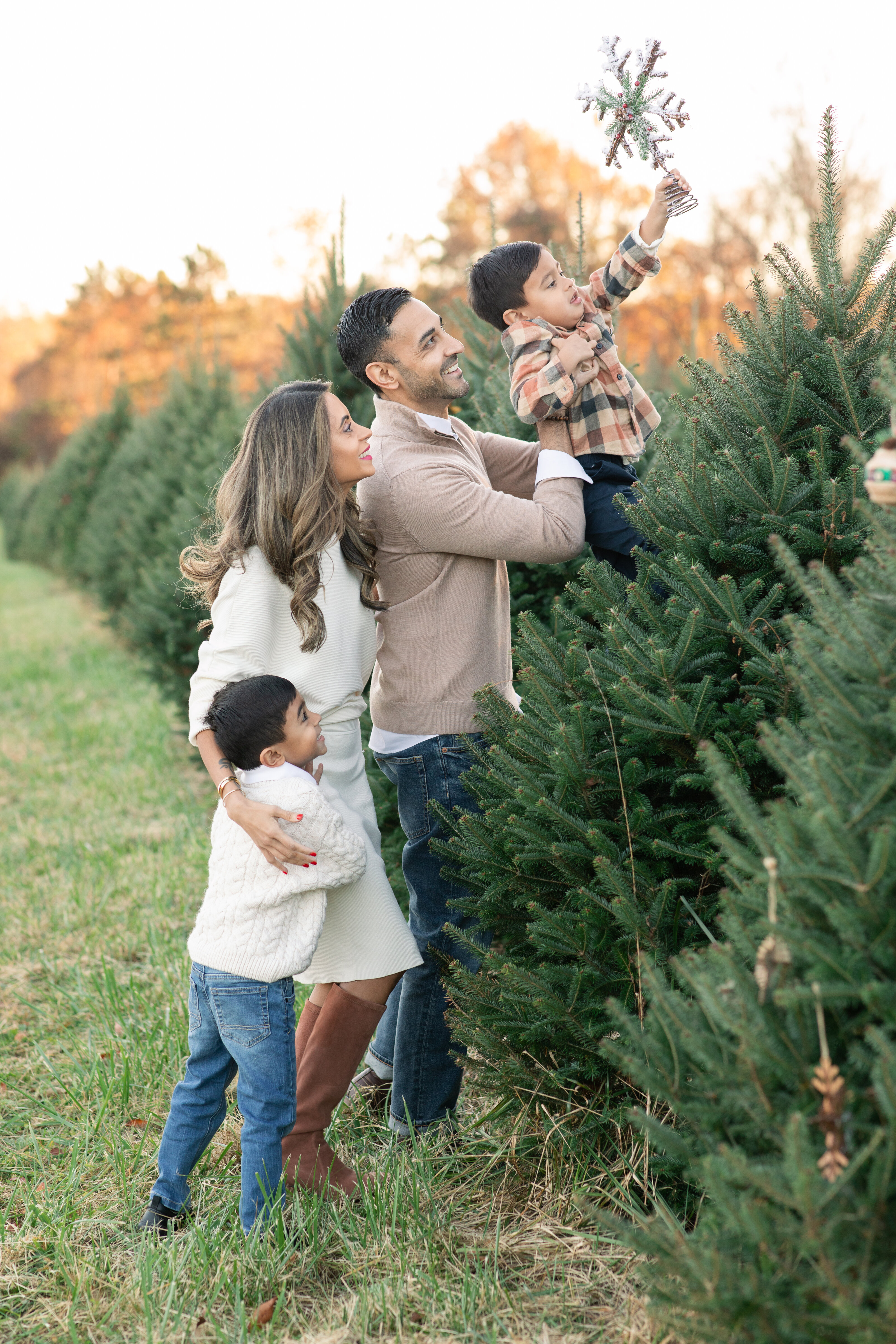 Tree Farm