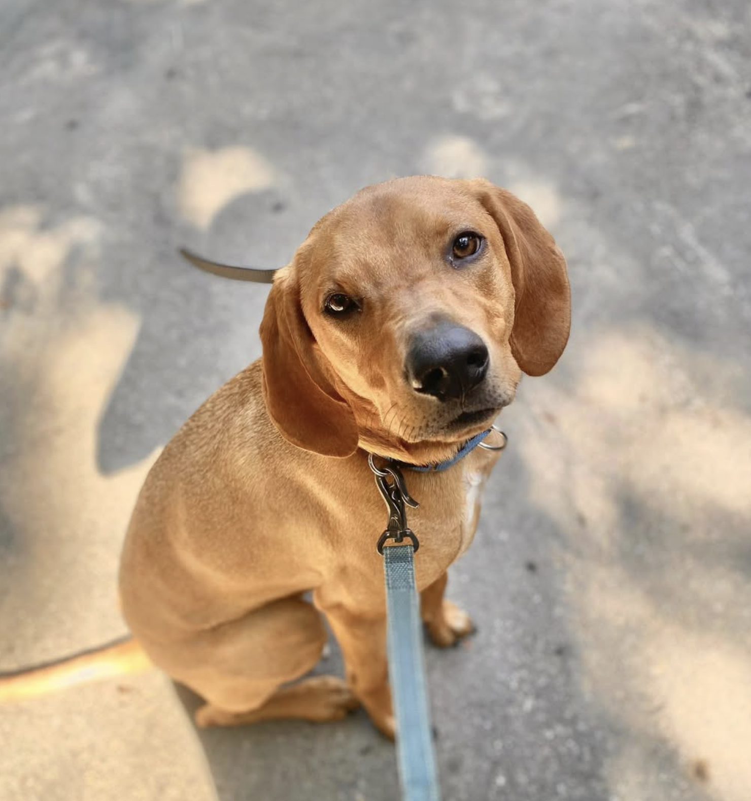 Screenshot 2025-10-24 at 2.39.38 PM