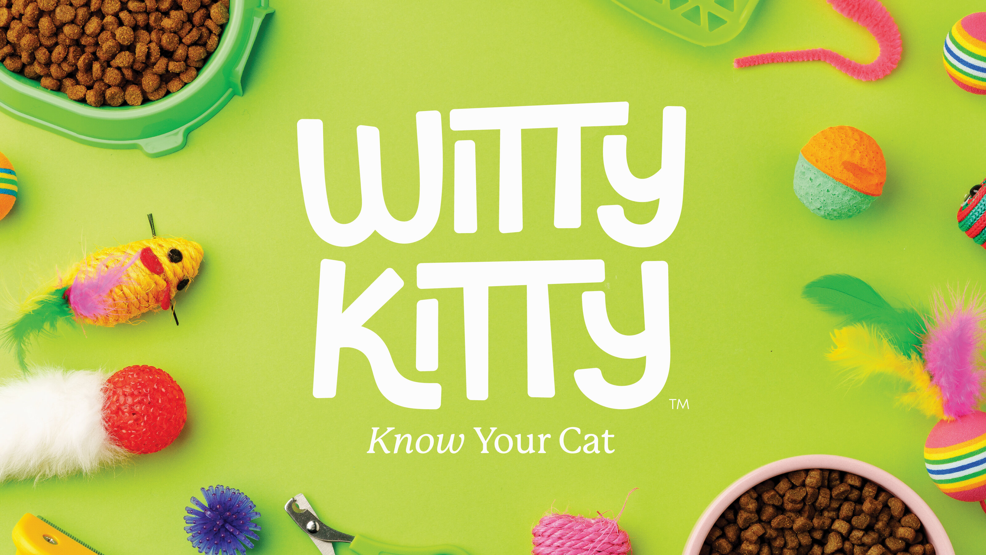 Witty Kitty Behance Presentation_witty kitty cover2