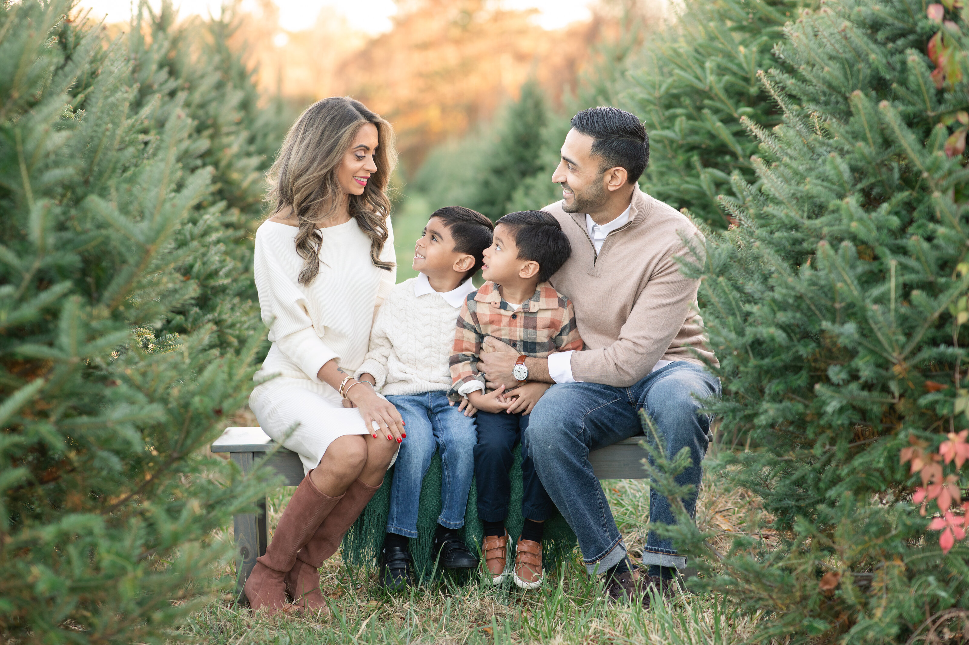 Christmas Tree Farm Sessions