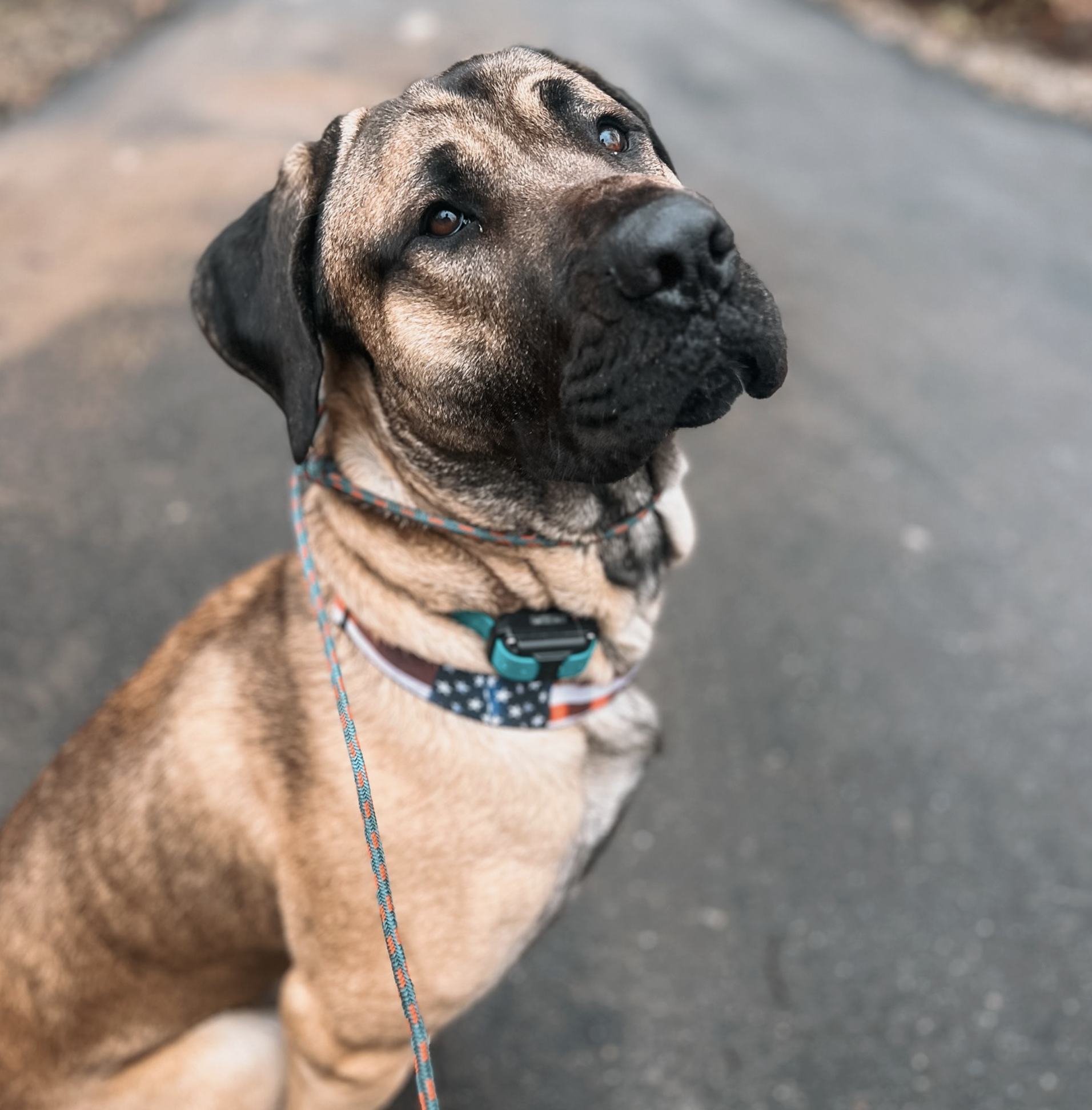 Screenshot 2025-10-24 at 2.38.22 PM