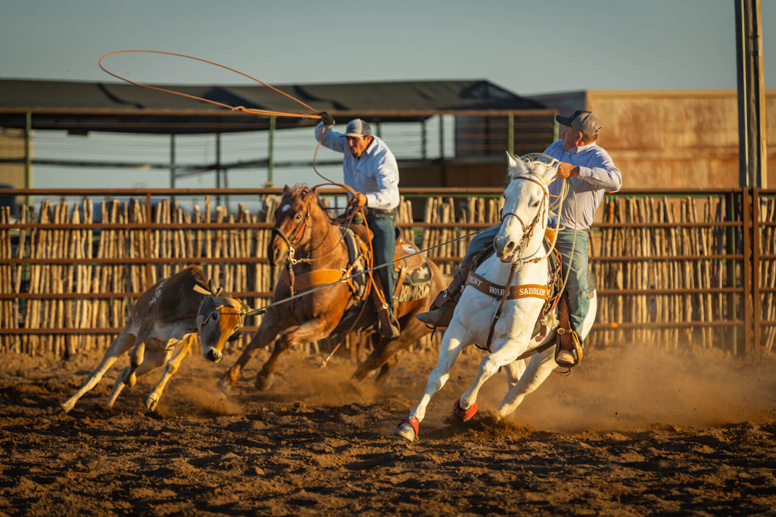 El-Paso-Texas-Horse-Show-Photographer-051