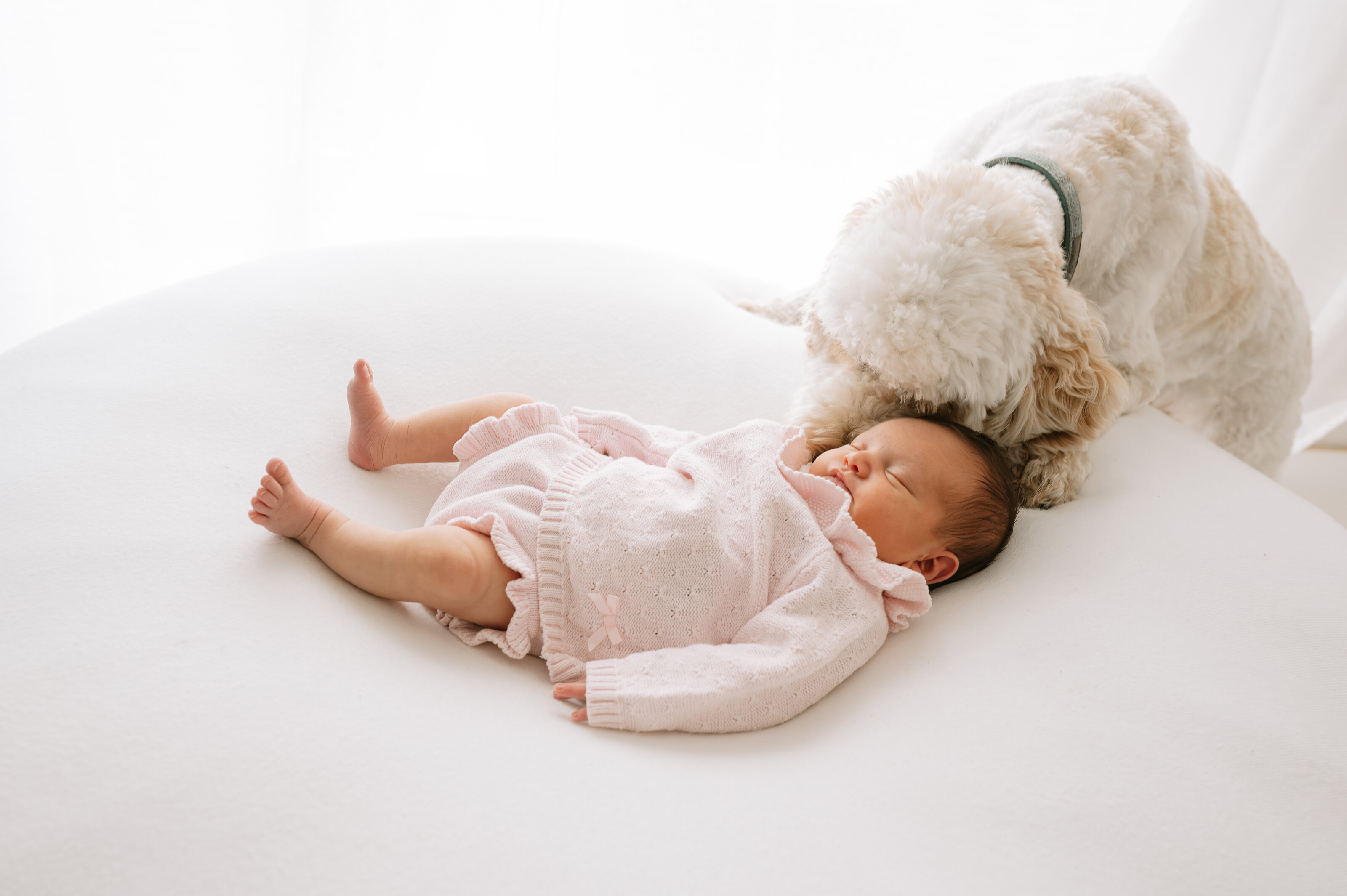 Newborn. York Newborn Photographer, York Baby Photographer, Yorkshire, Baby Photographers, Maternity, Sitter, Older Baby, family photographer, family photography, baby,, yorkshire, harrograte, leeds, ripon