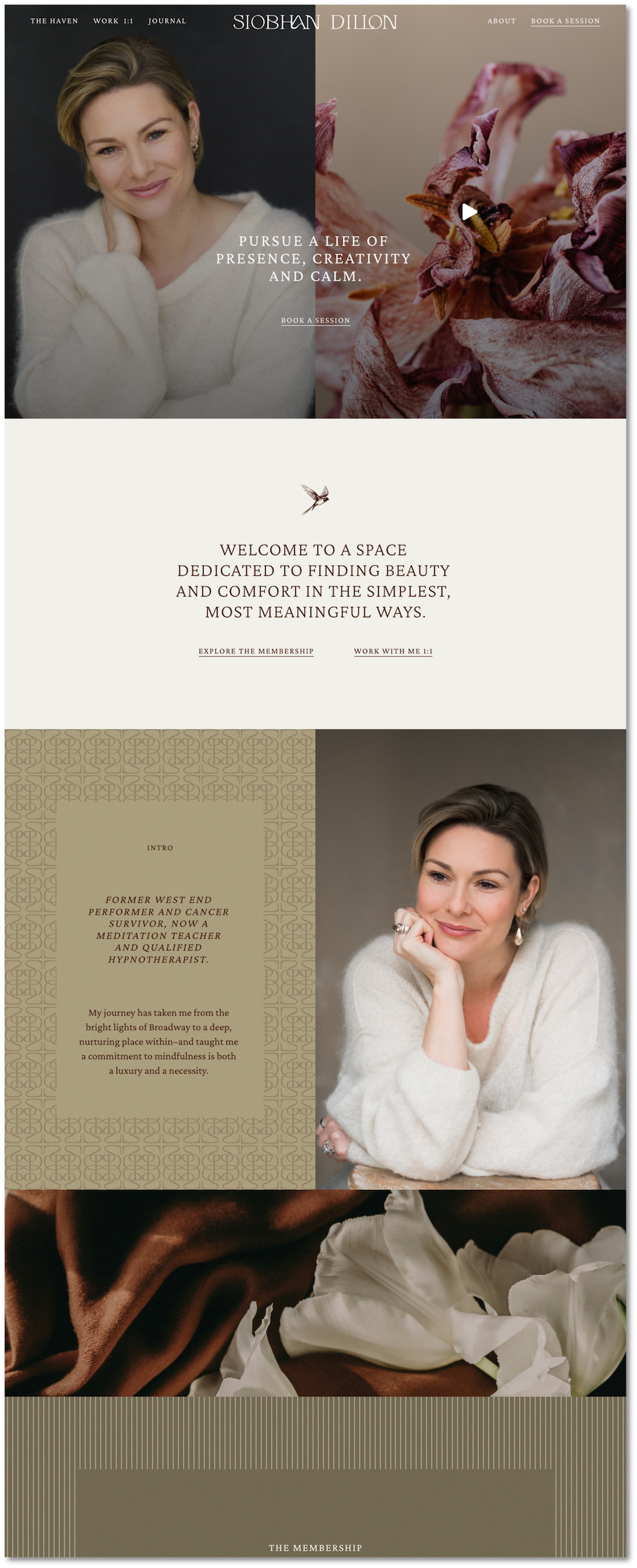 brand-and-website-sprint-for-siobhan-dillon-meditation-by-rove24