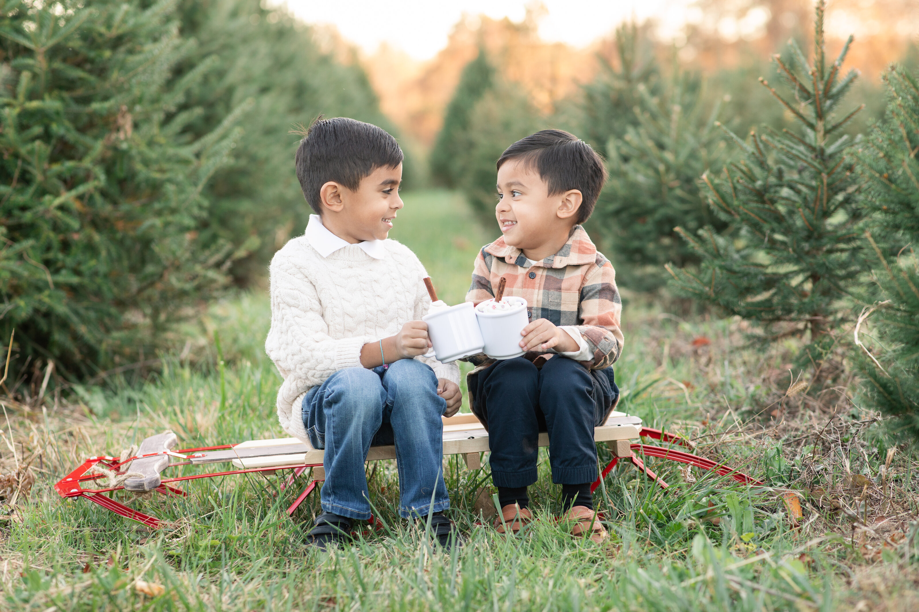 Christmas Tree Farm Sessions