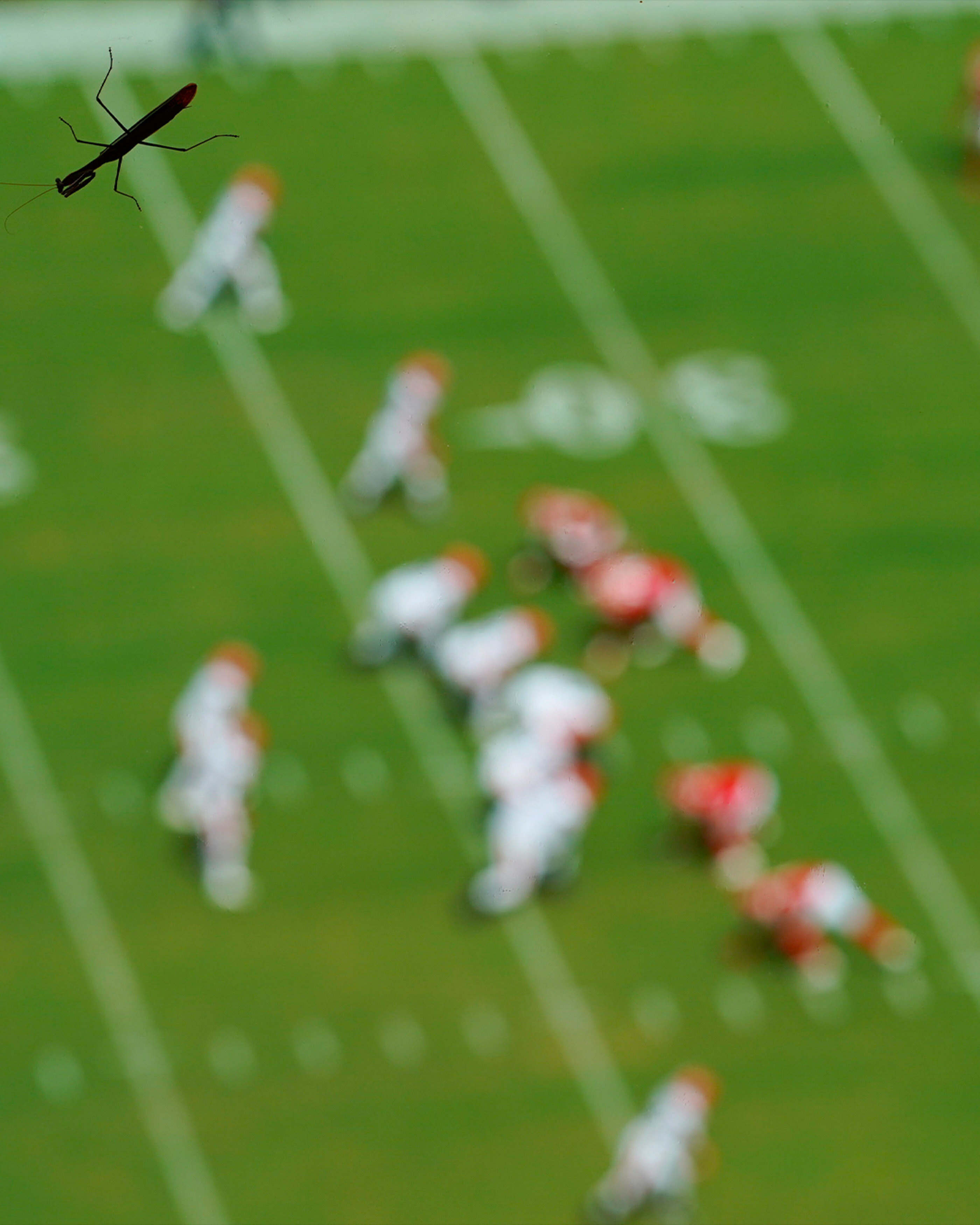 kansas-city-sports-photography-chiefs-0013-aerial-view-football-play-on-field