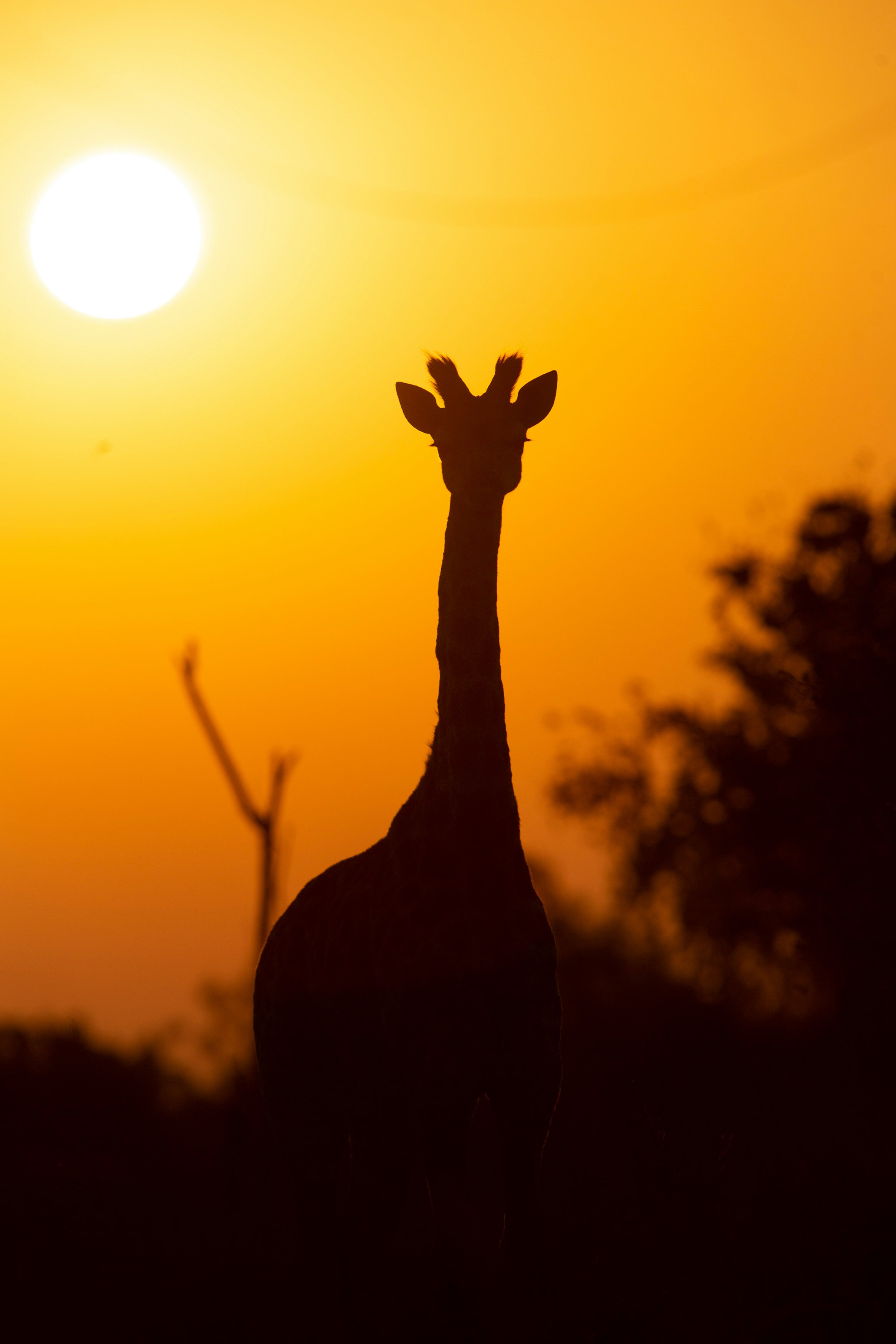 pieter-van-noorden-QTpKZWWnRGc-unsplash