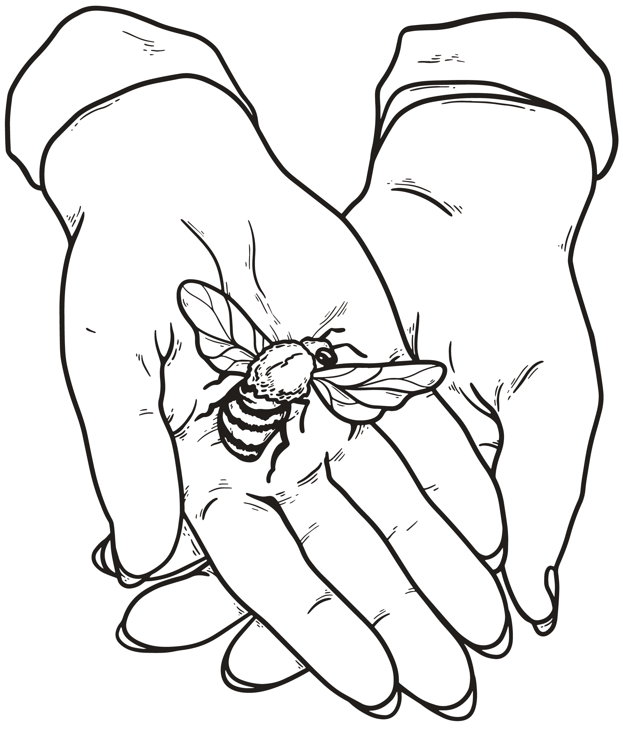 custom illustrations and logos for photographers 134