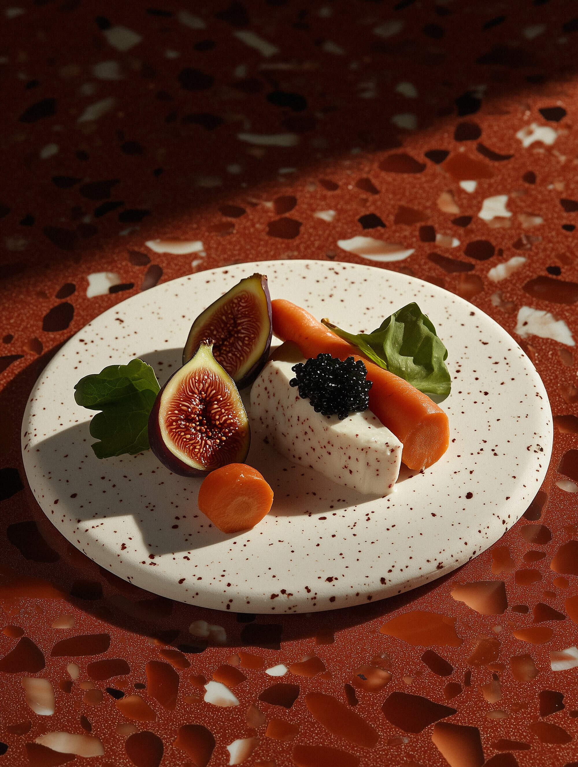 TONIC_Martini_FashionLifestyleStock-food-fig-terrazzo