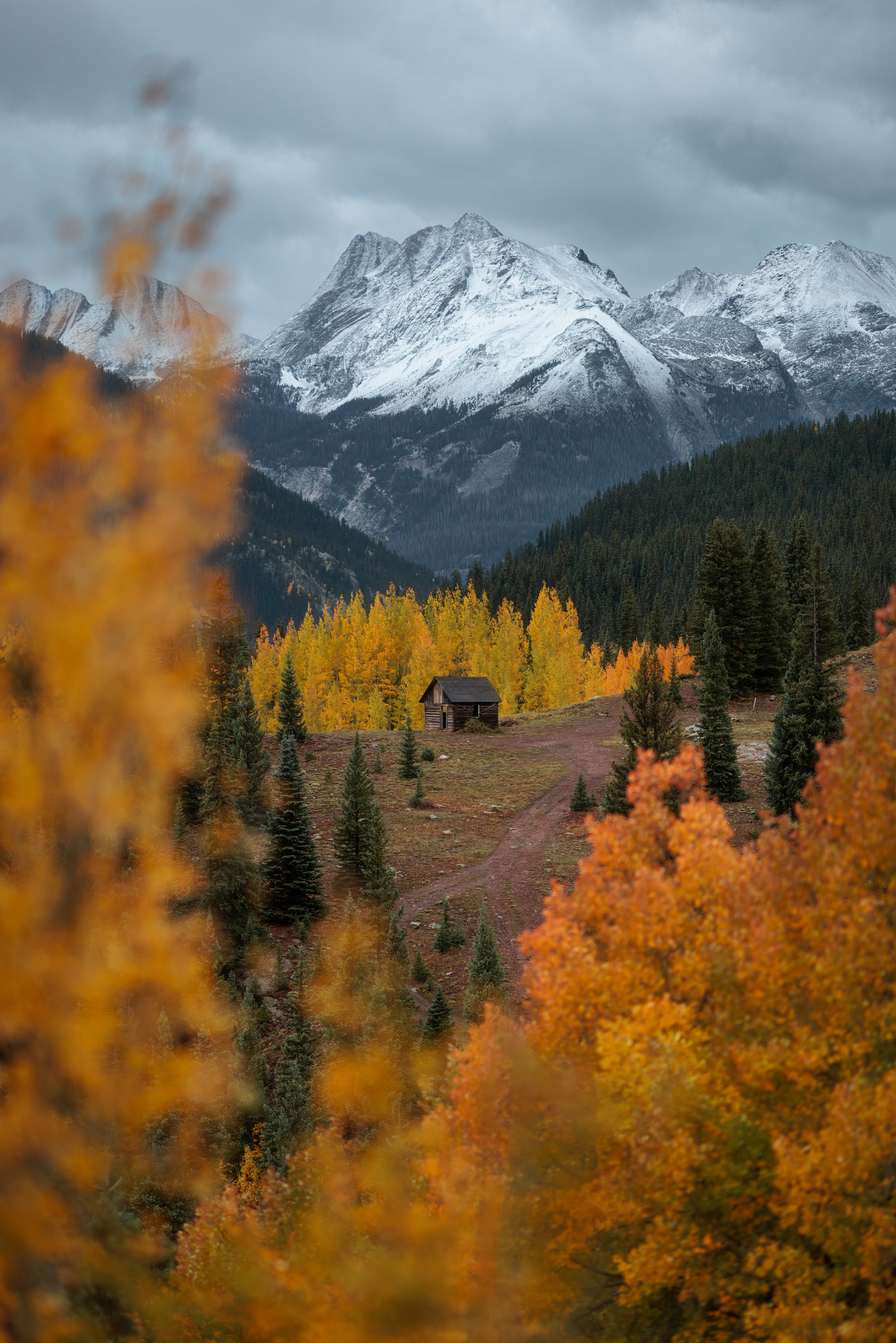 Silverton Cabin Direct