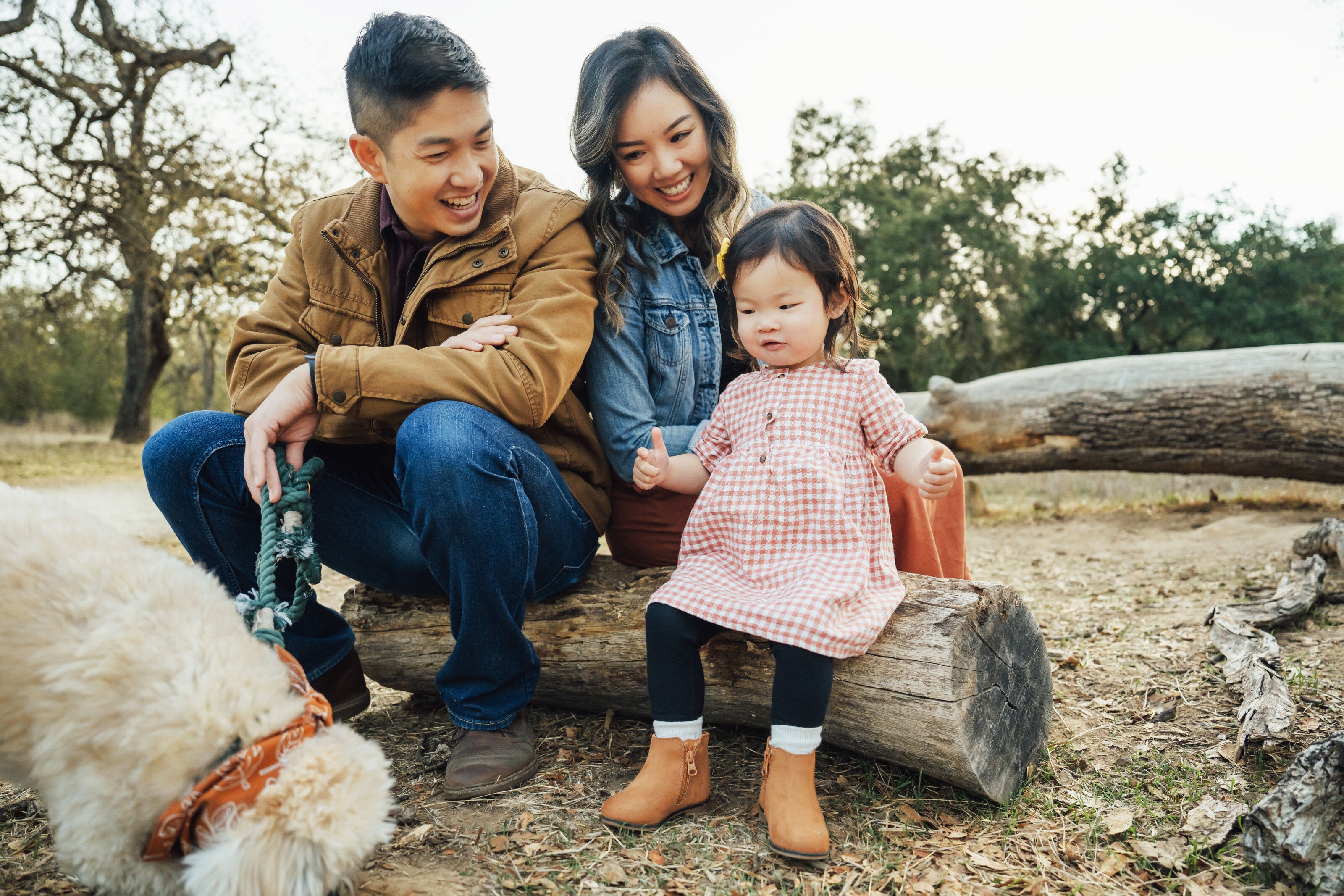 Liufamily (18)
