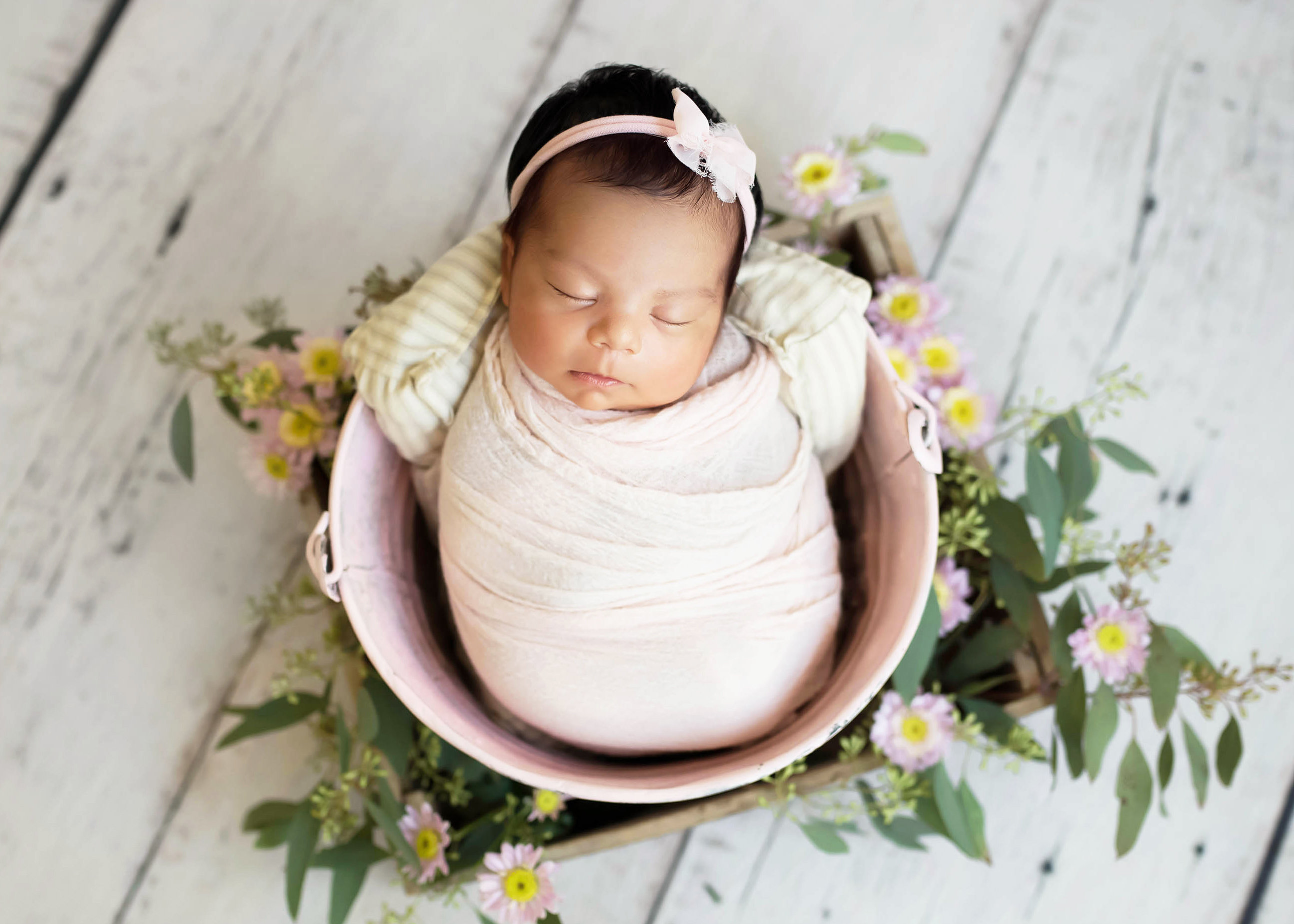 dfw newborn photographer