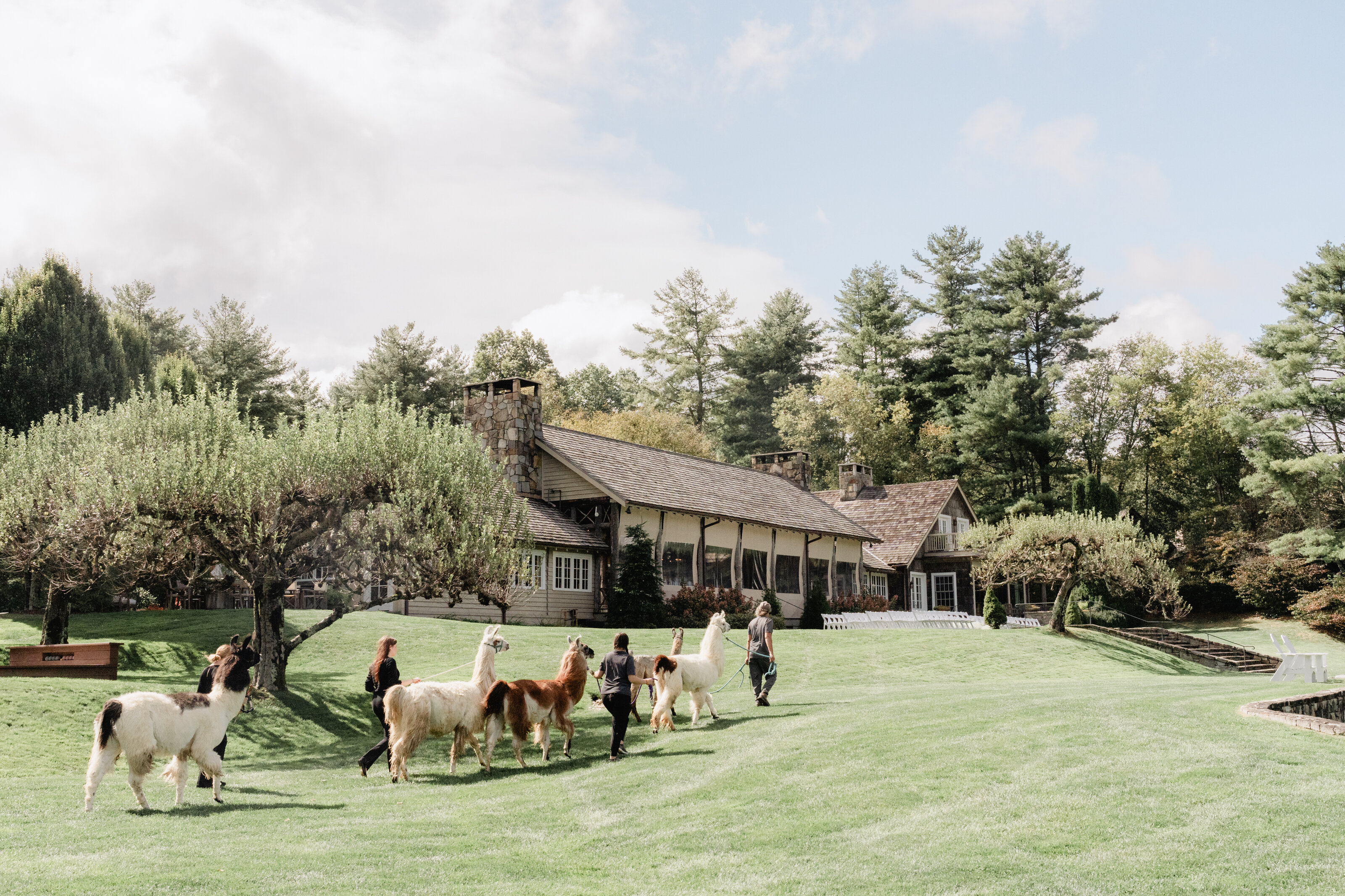 Bride and Groom at Chattooga Club Cashiers NC by Wedding Photographer Nick Francis-14