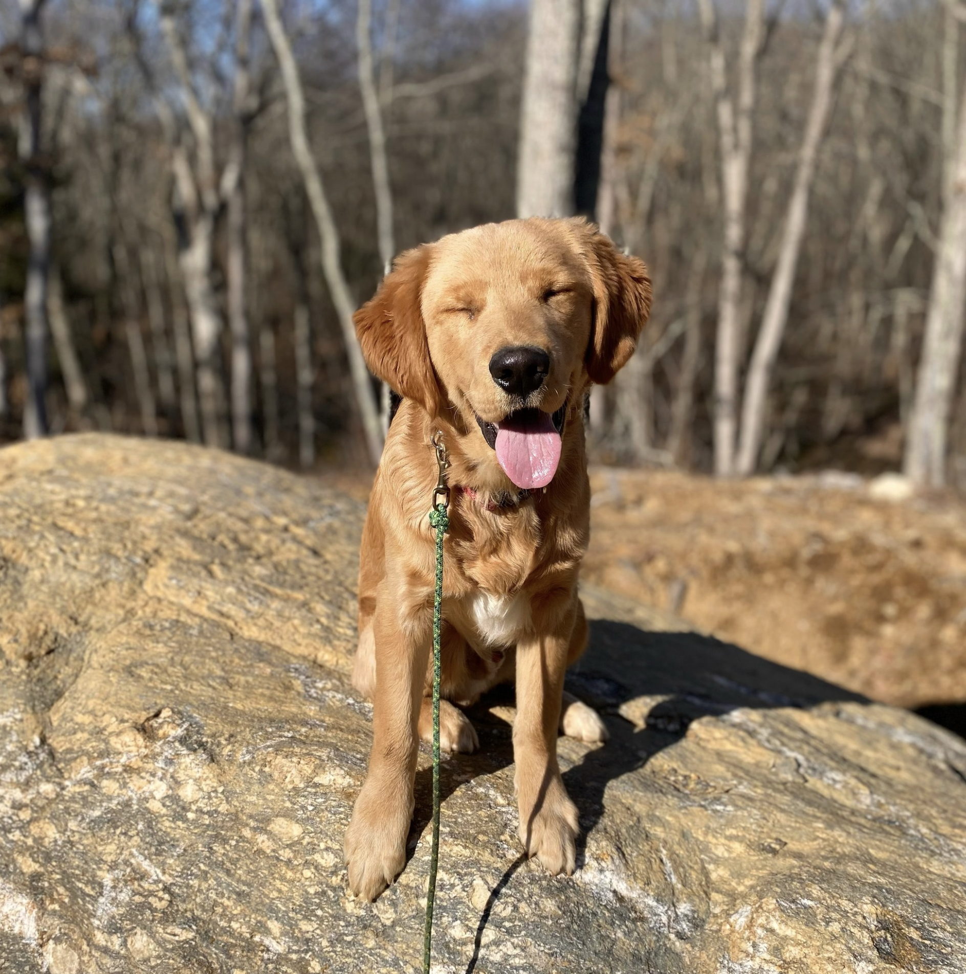 Screenshot 2025-10-24 at 2.37.36 PM