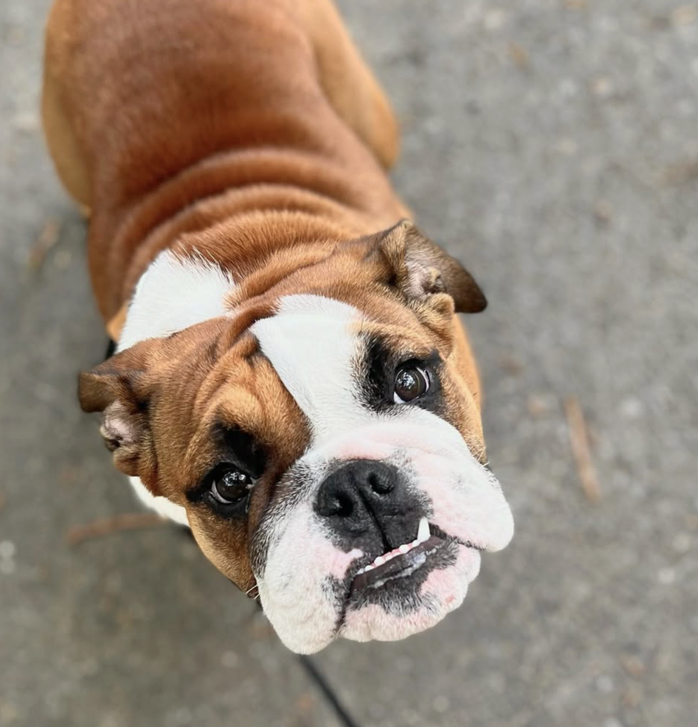 Screenshot 2025-10-24 at 2.39.58 PM