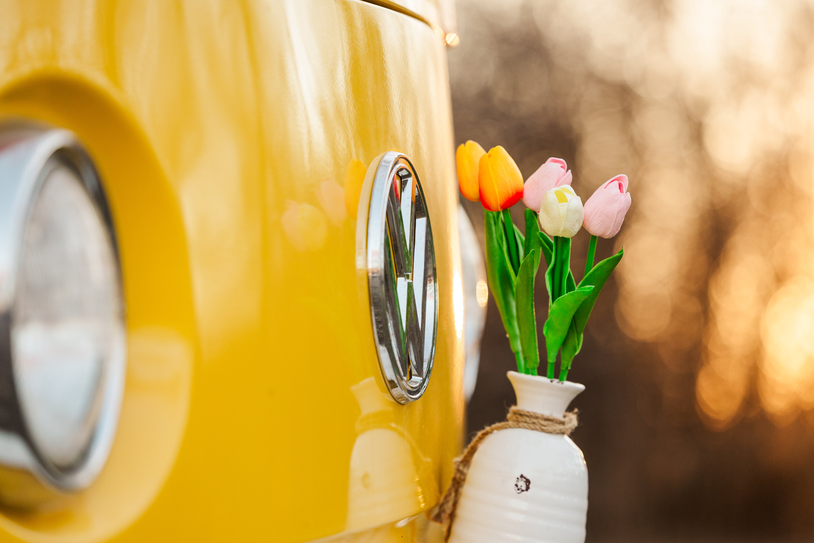 jeanizecilliersphotograph-flowerbus-20
