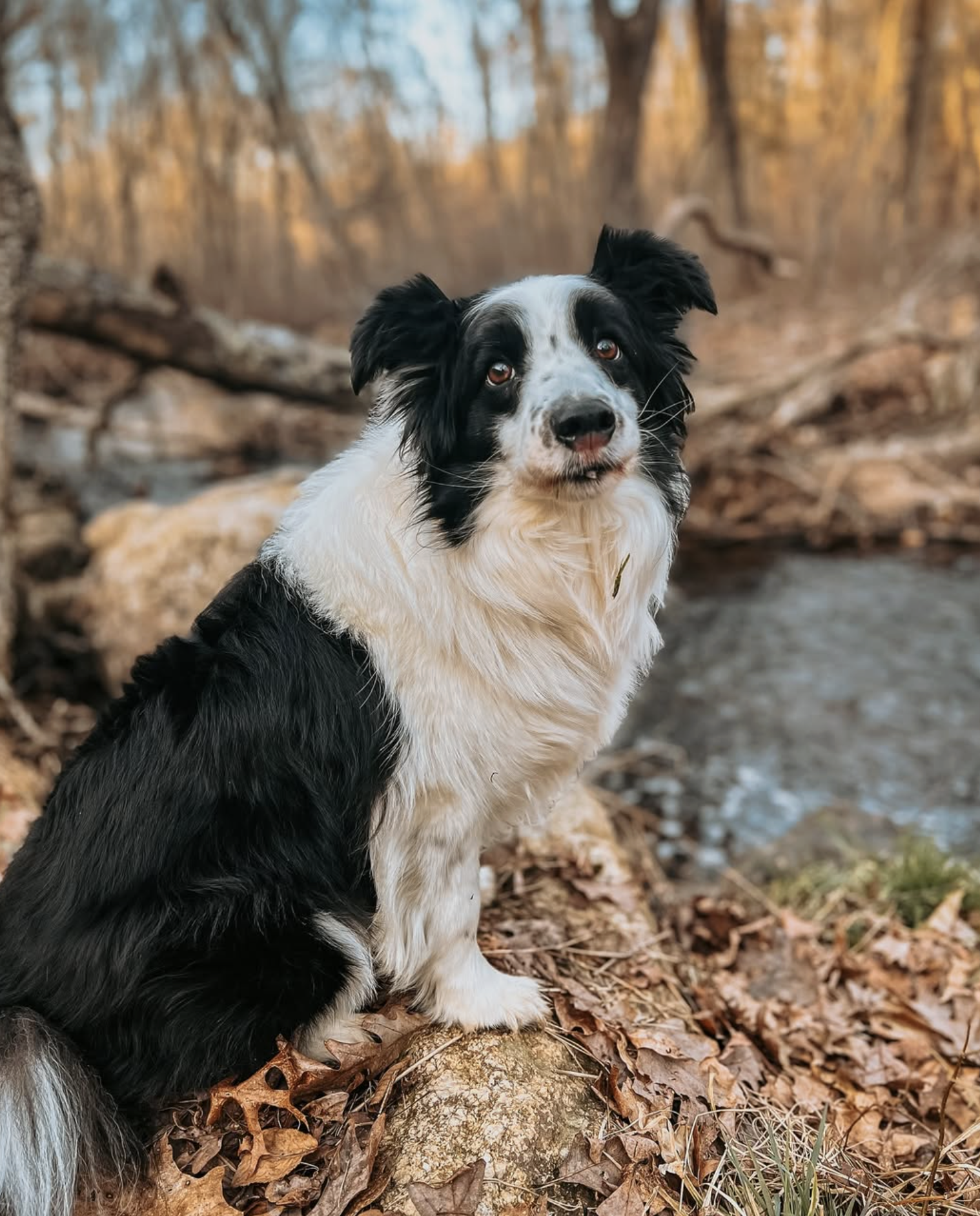 Screenshot 2025-10-24 at 2.37.55 PM