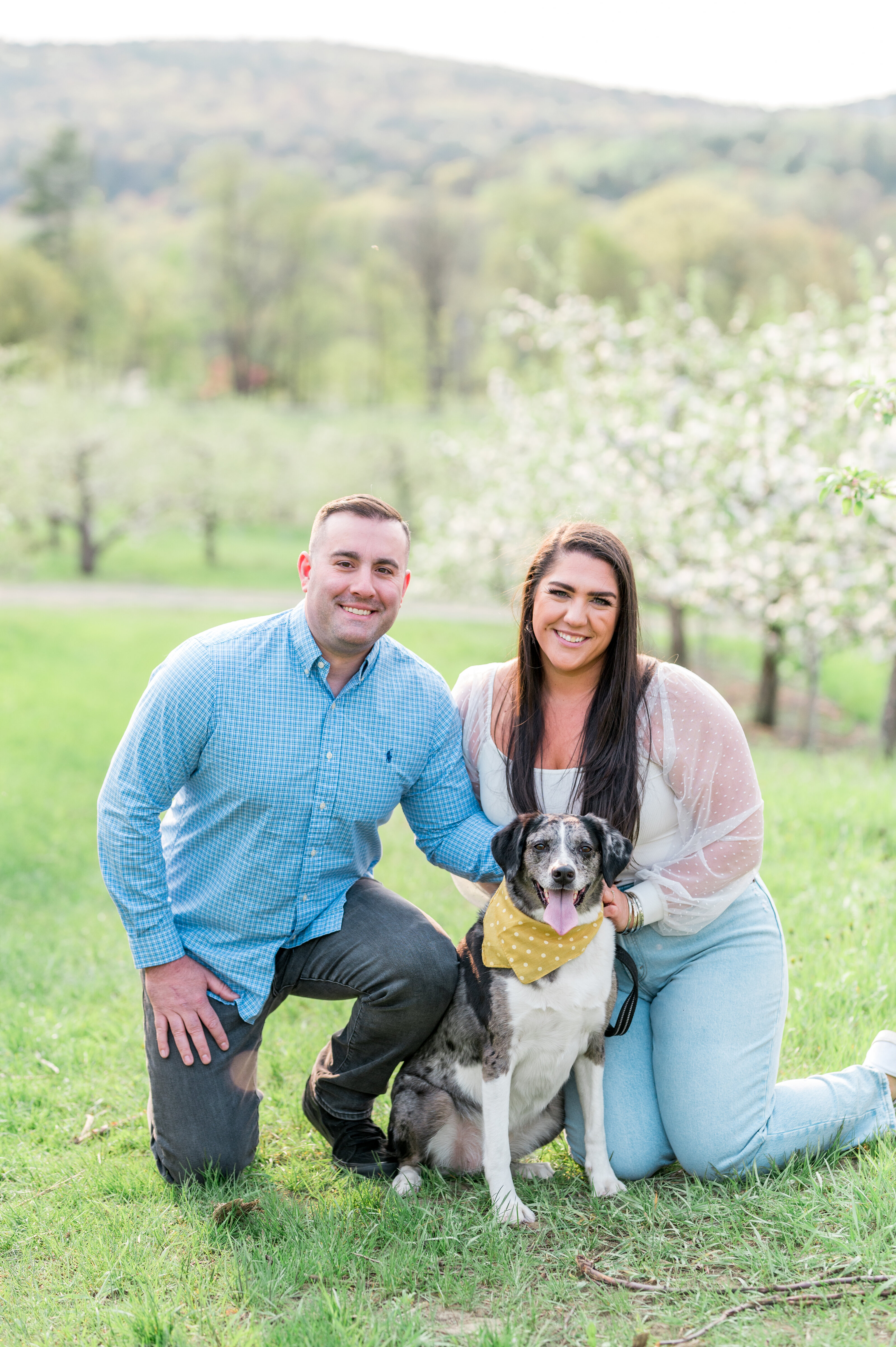 Spring Apple Orchard Engagement
