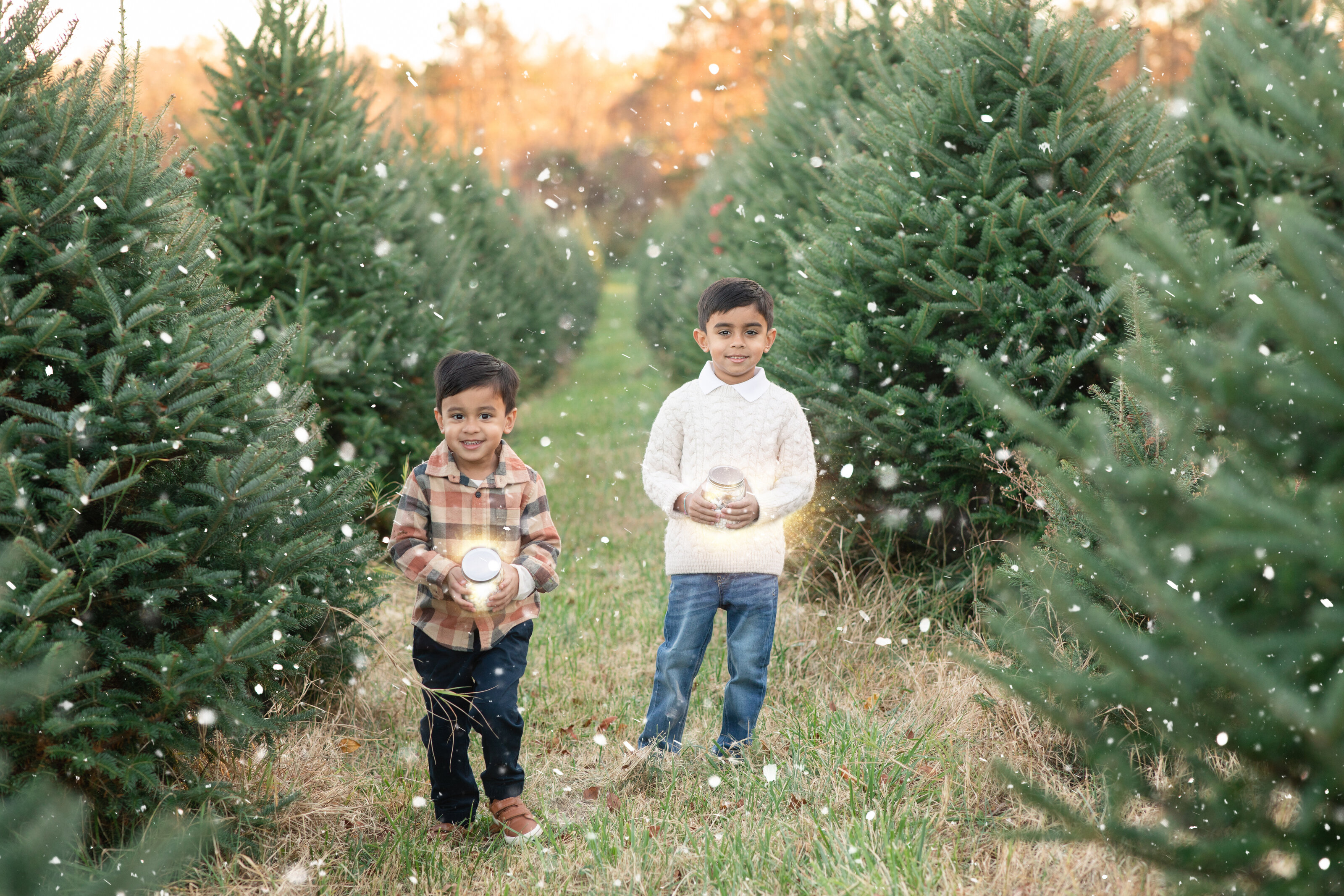 Magic & Snow at tree farm