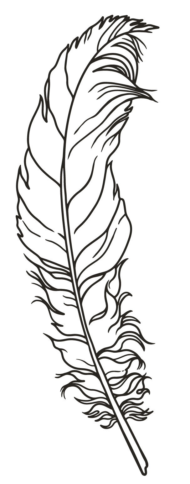 custom illustrations and logos for photographers 6
