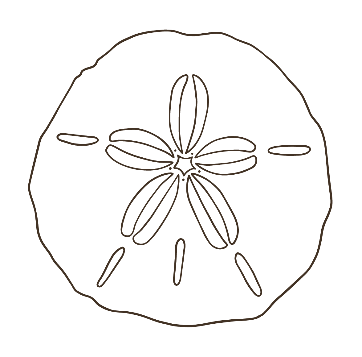 custom illustrations and logos for photographers 75