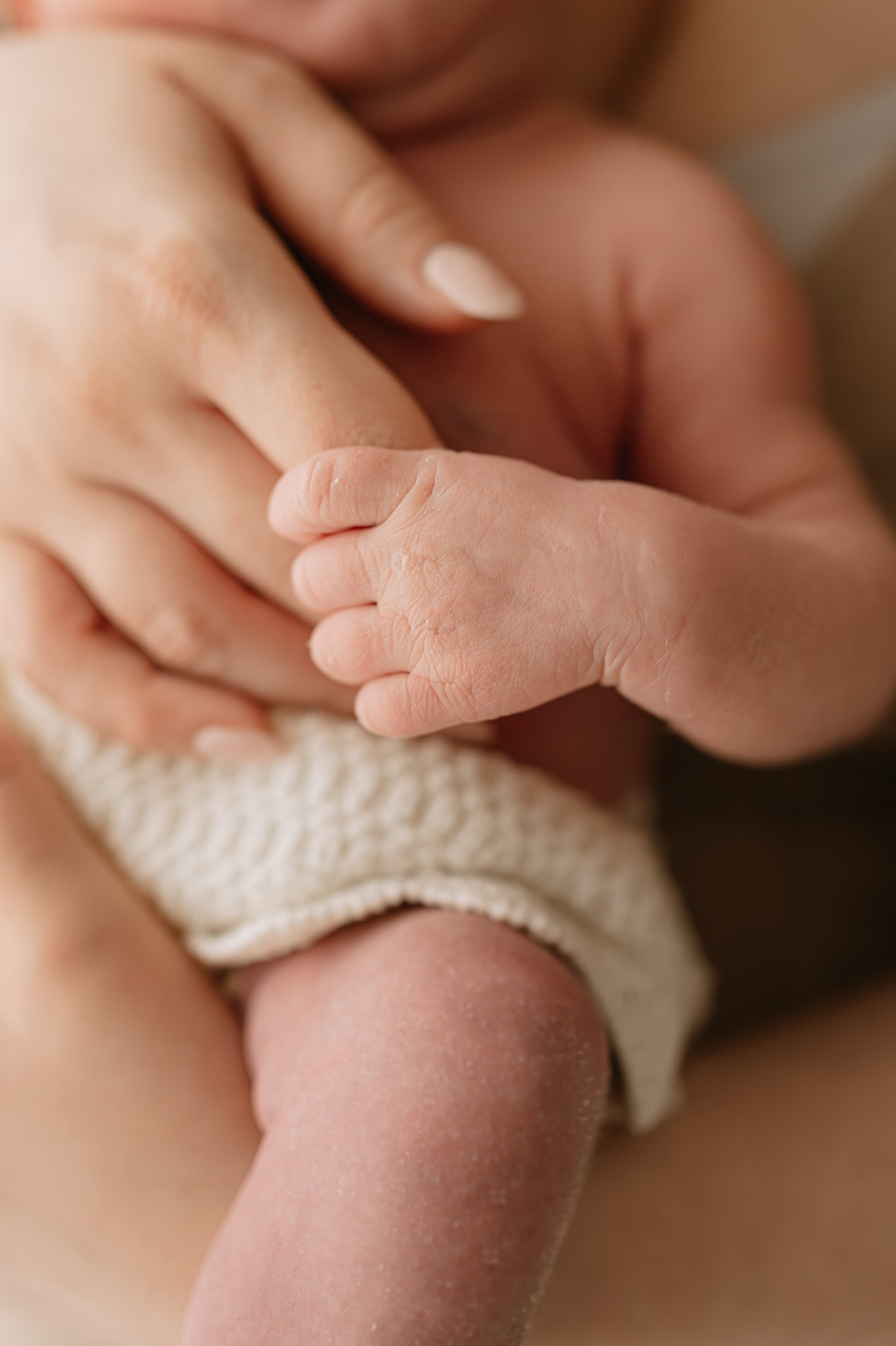 york newborn photographer-19