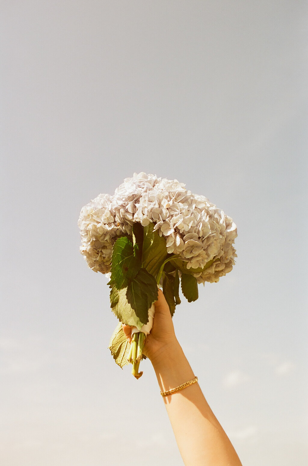 Film-Becca-Colin-Wedding-293