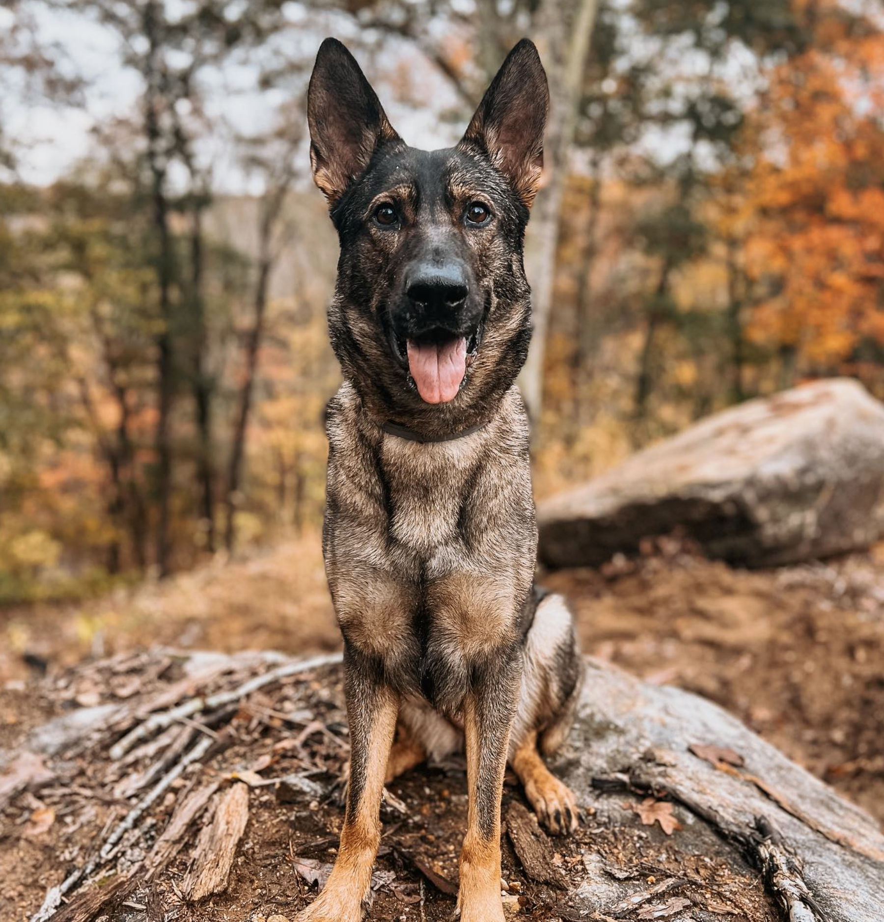 Screenshot 2025-10-24 at 2.39.21 PM