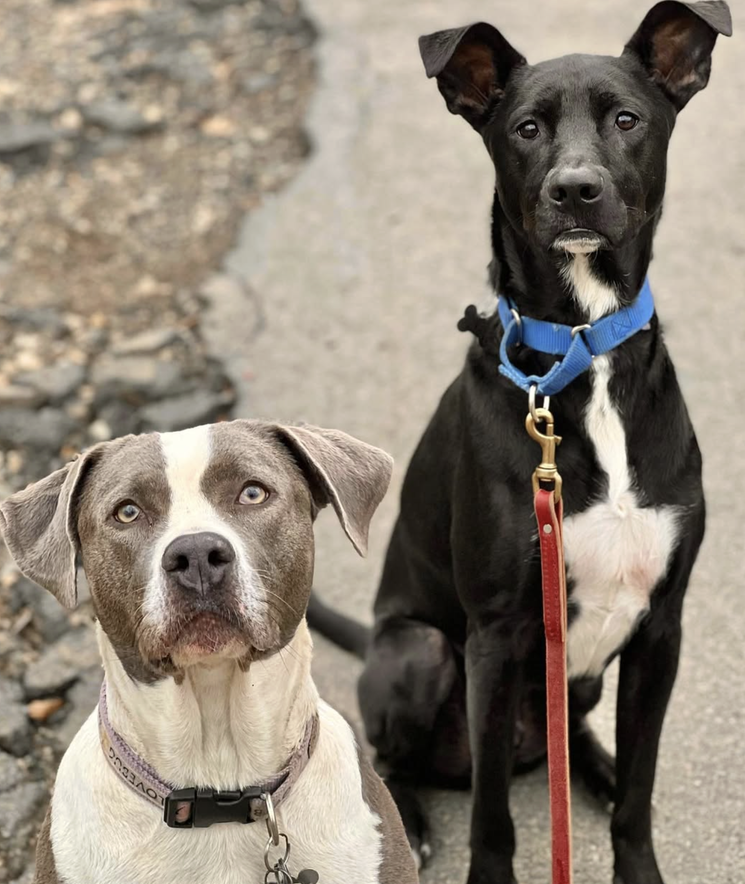 Screenshot 2025-10-24 at 2.40.39 PM