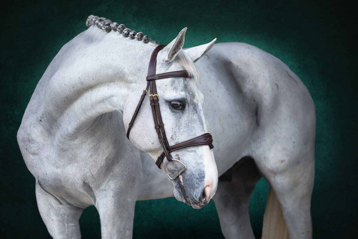 El-Paso-Texas-Fine-Art-Horse-Photographer-016