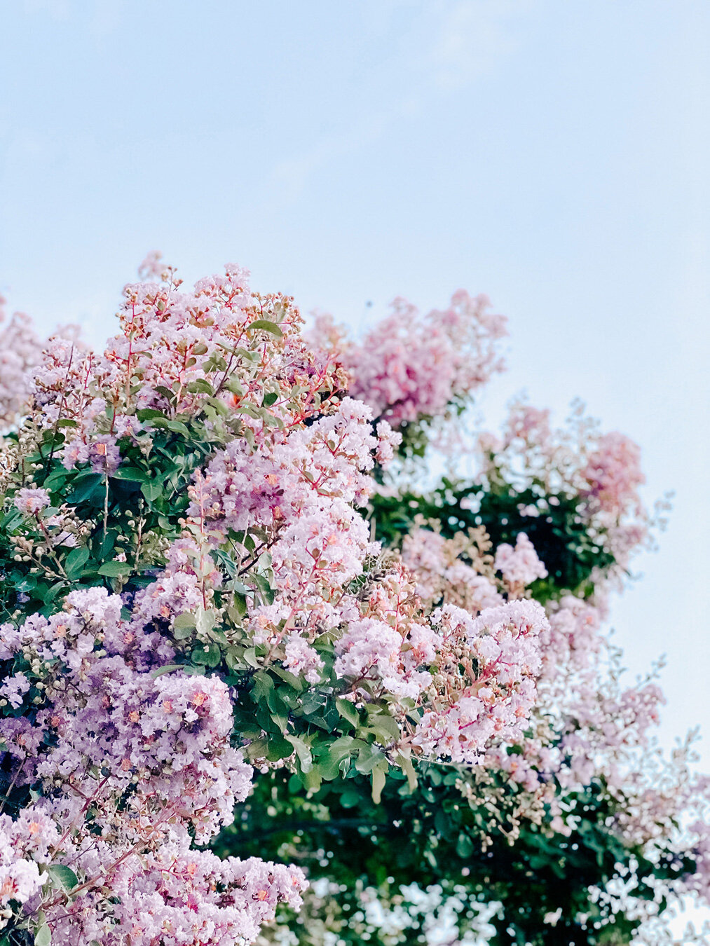 Fine-Art-Photographer-Southern-California_719
