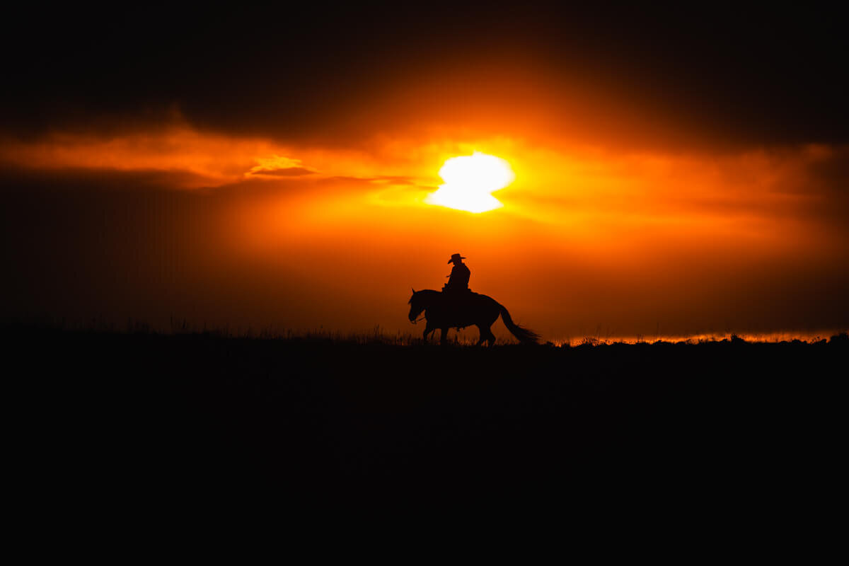 El-Paso-Texas-Horse-Photographer-032