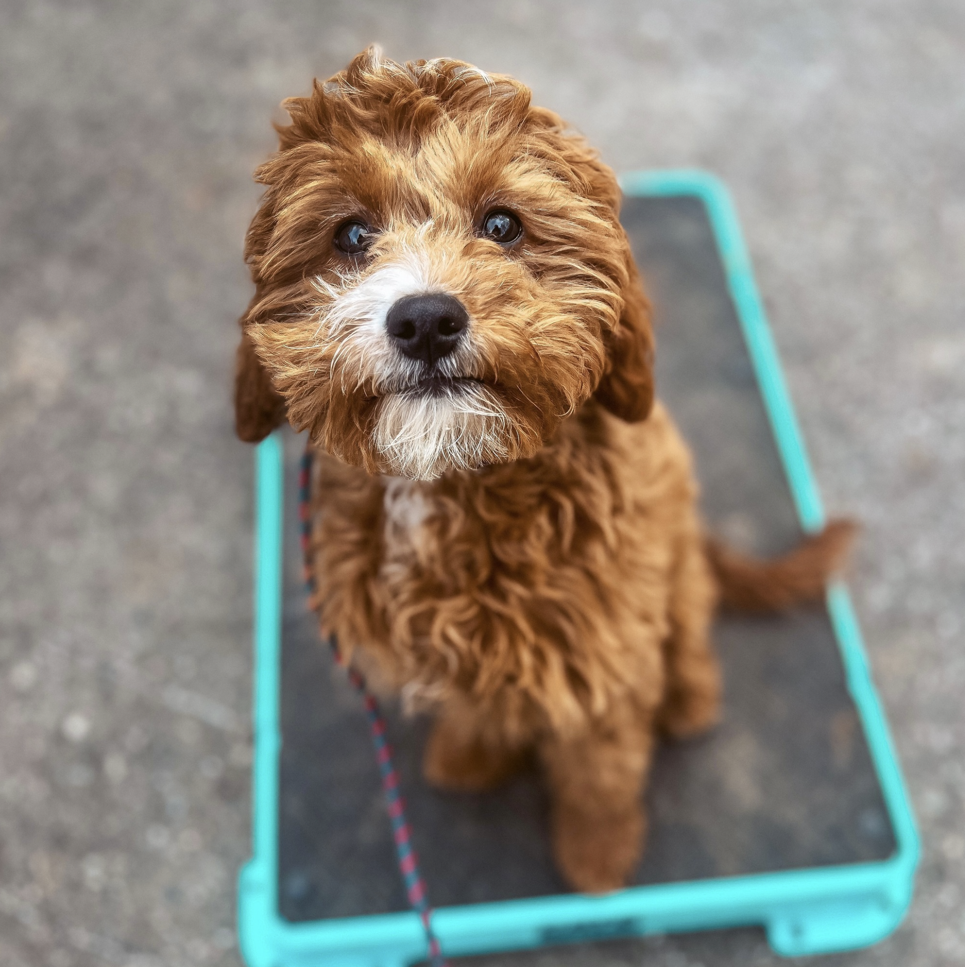 Screenshot 2025-10-24 at 2.37.29 PM