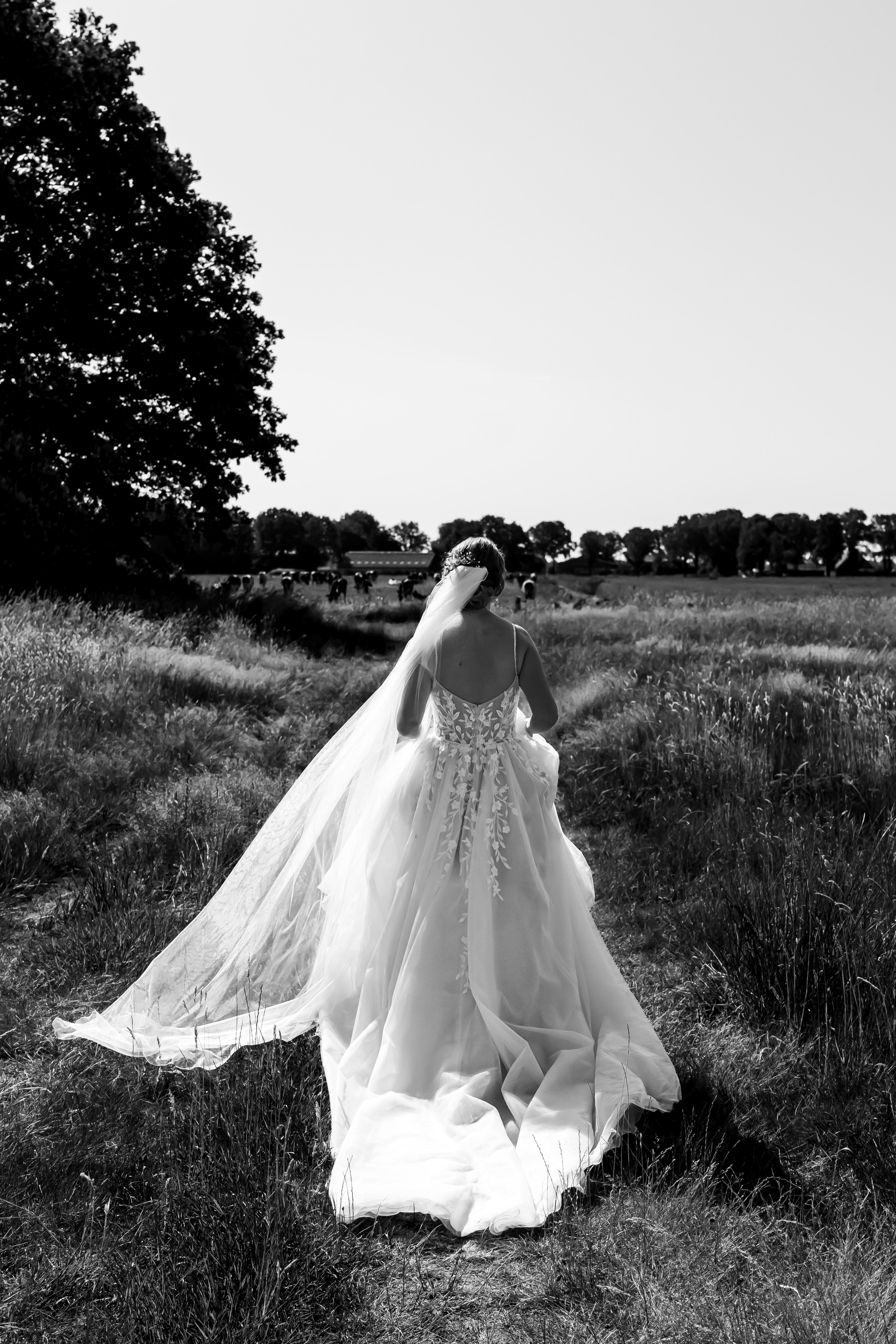 Trouwen in Twente, Twente, Westerhaar, Oost Nederland, liefde, echt, tijdloos, Bruiloft, trouwreportage, bruidsfotograaf, trouwfotograaf, rust, Twenterand, De fotograaf van Twente, Schipper, Juliantien, Juliantien fotografie