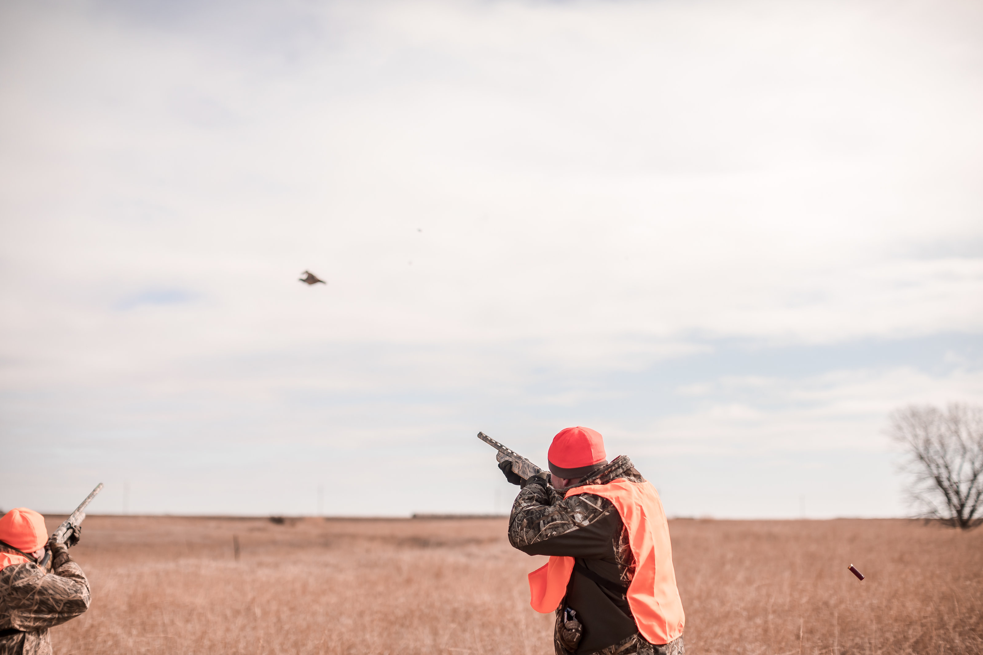 Fowl Plains Kansas Pheasant hunting117
