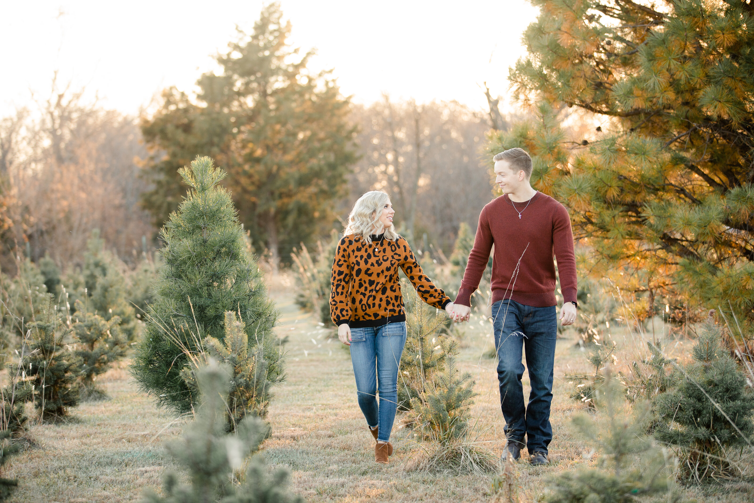 Christmas tree farm-170