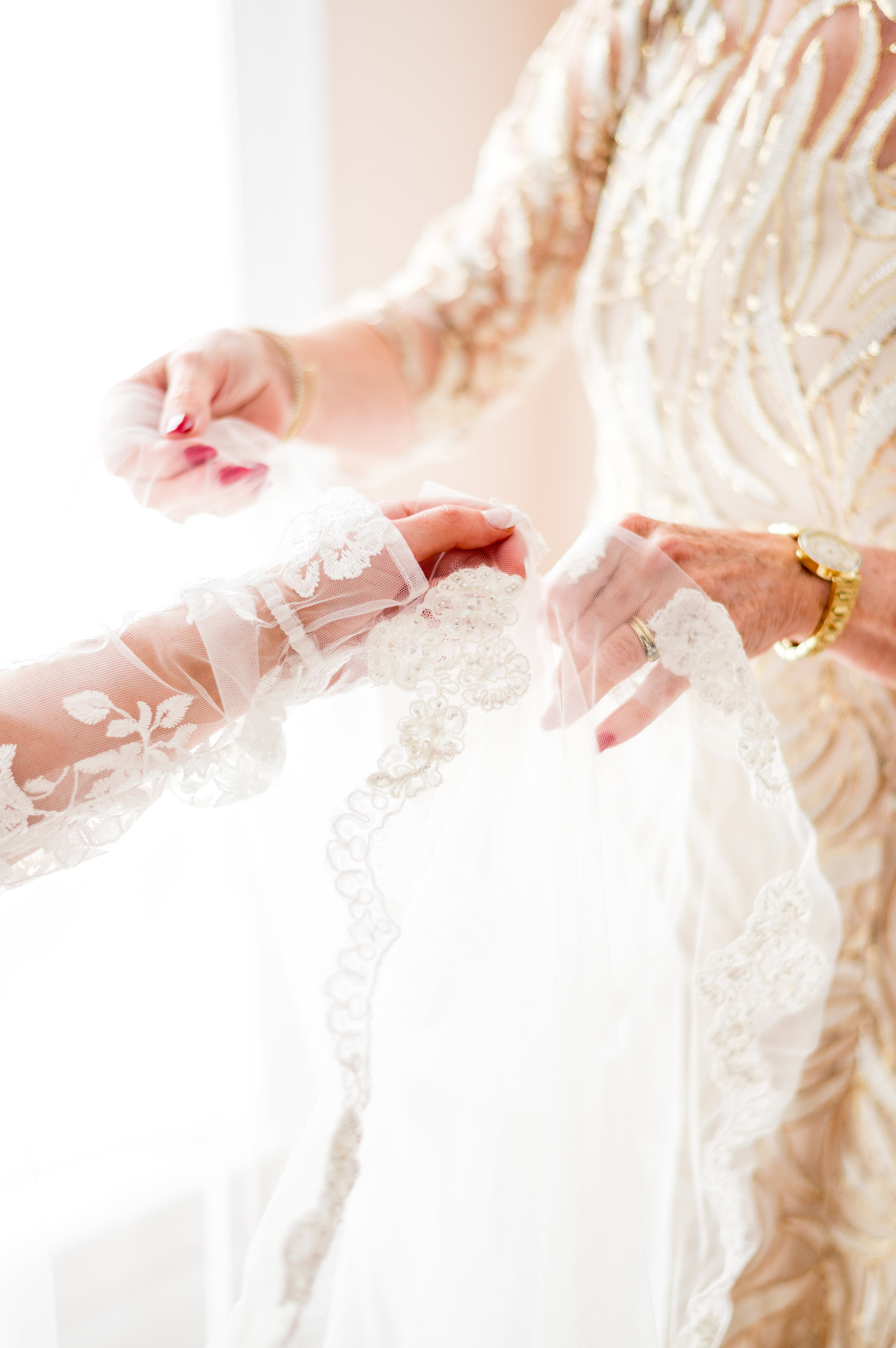 Lace Bride Sleeves