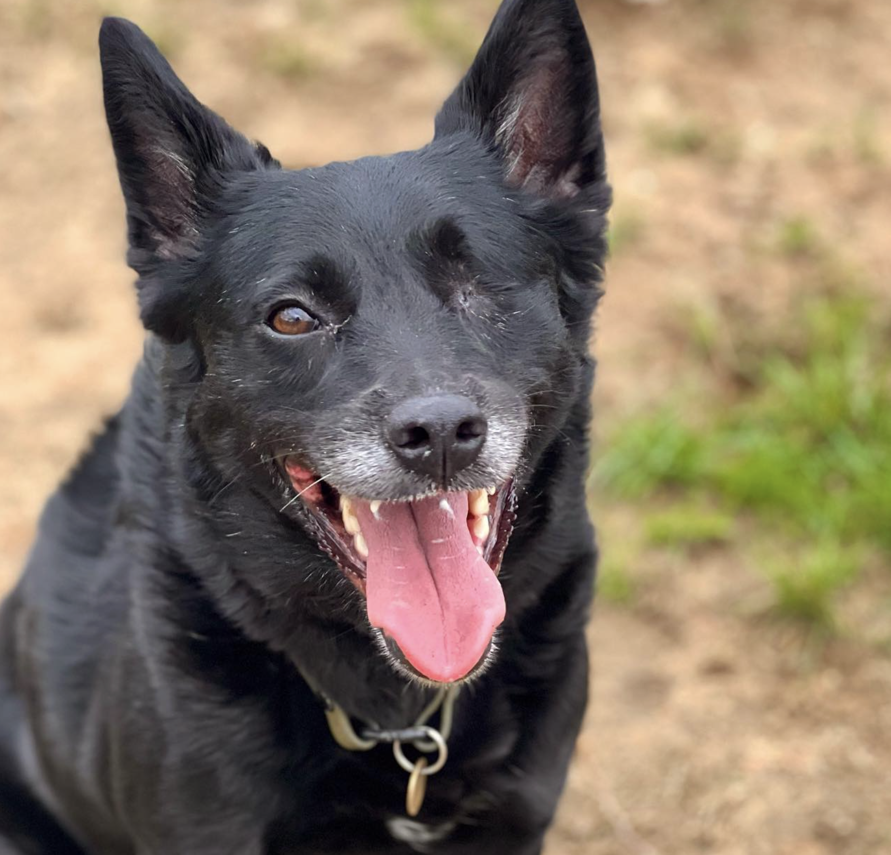 Screenshot 2025-10-24 at 2.40.29 PM