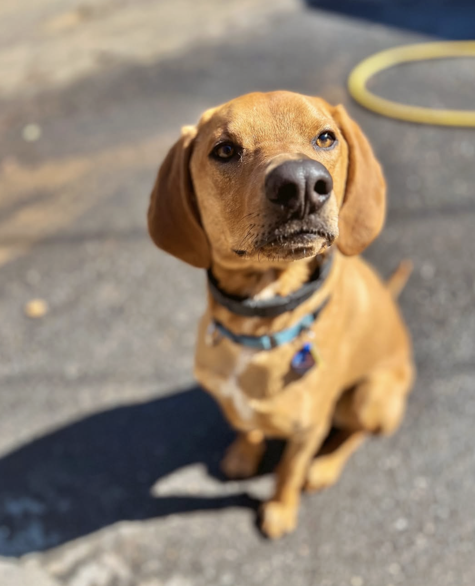 Screenshot 2025-10-24 at 2.37.08 PM