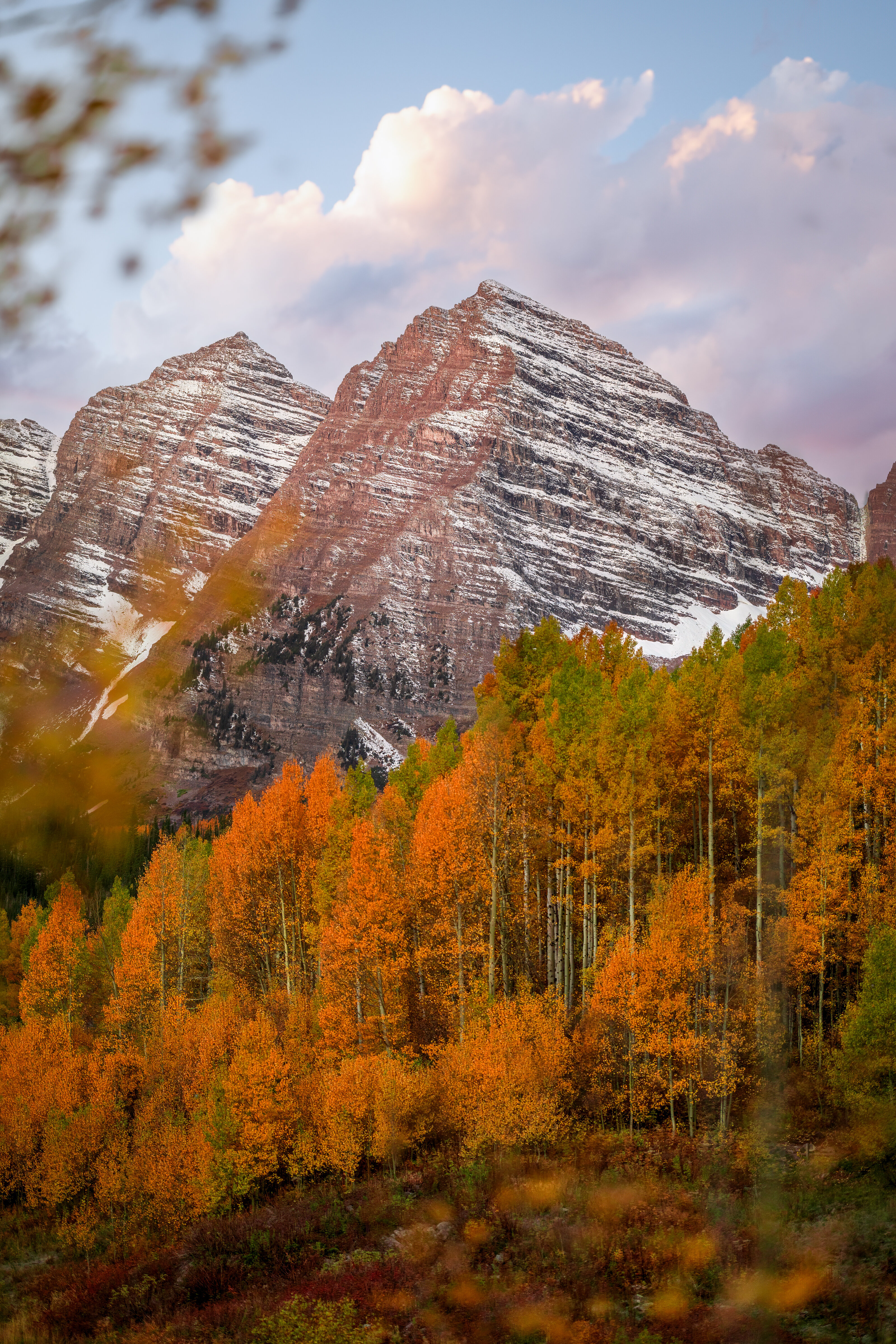 Fall Bells Scale-3