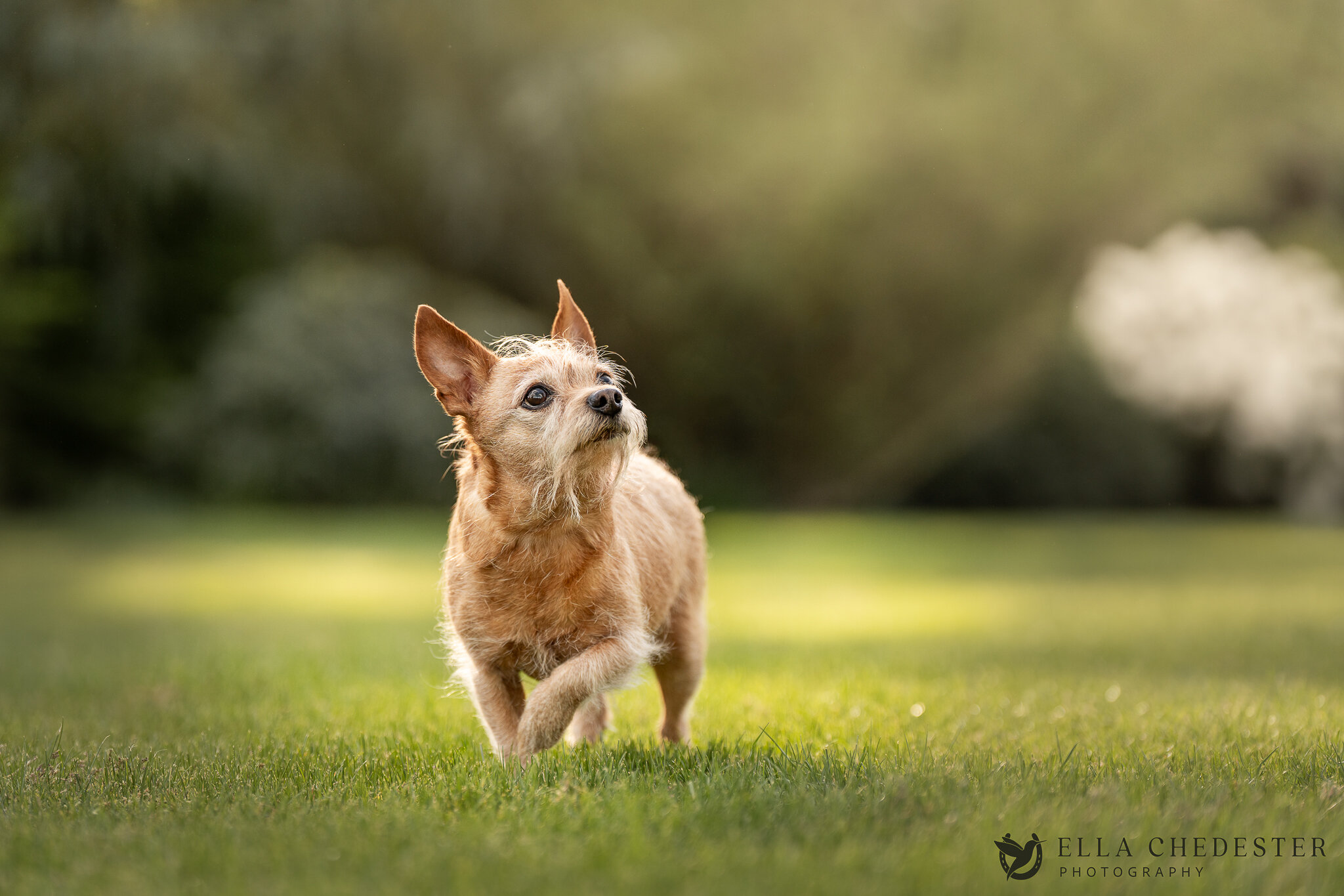 Monica Sneak Peek (1) Web