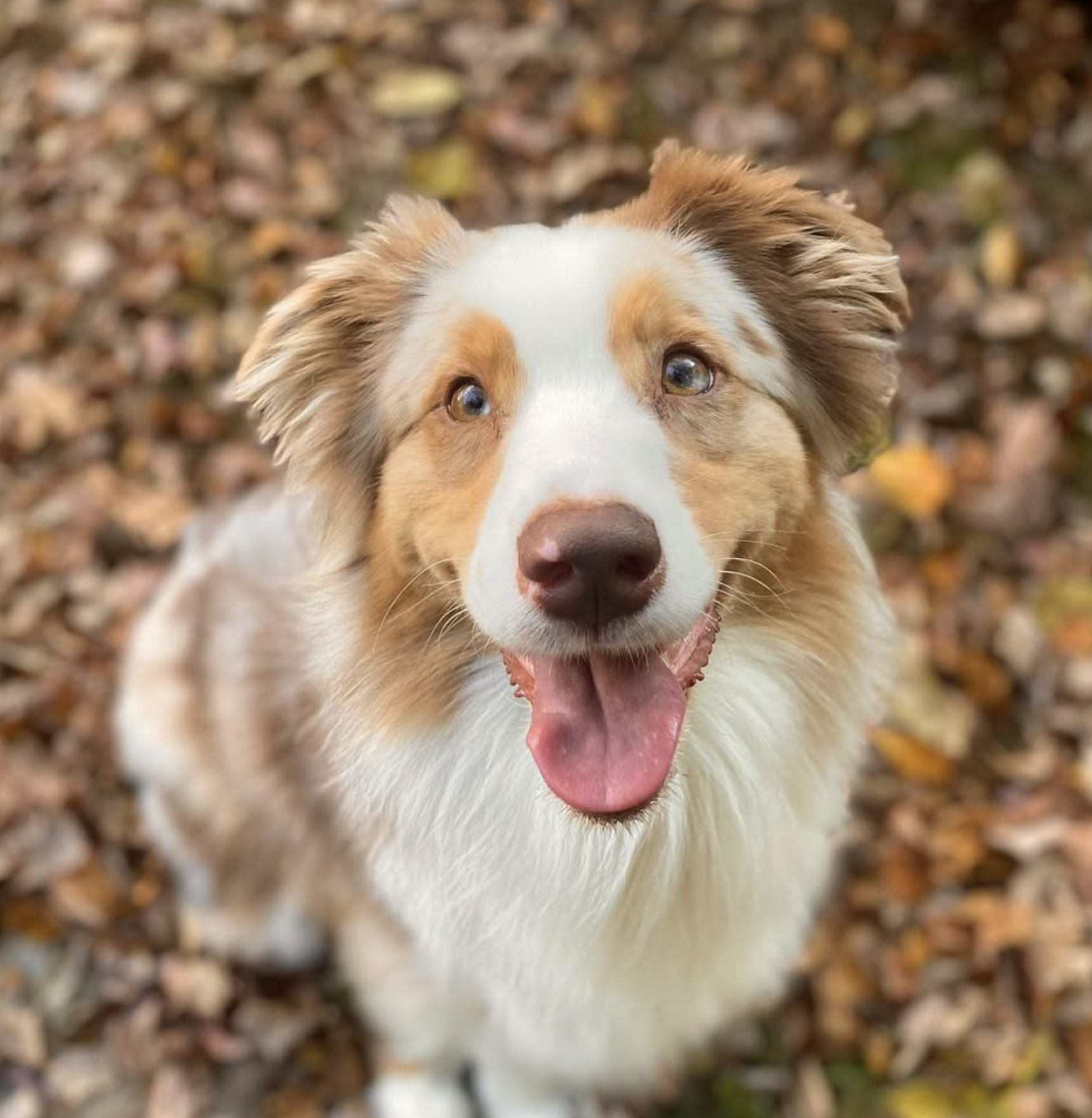 Screenshot 2025-10-24 at 2.39.30 PM