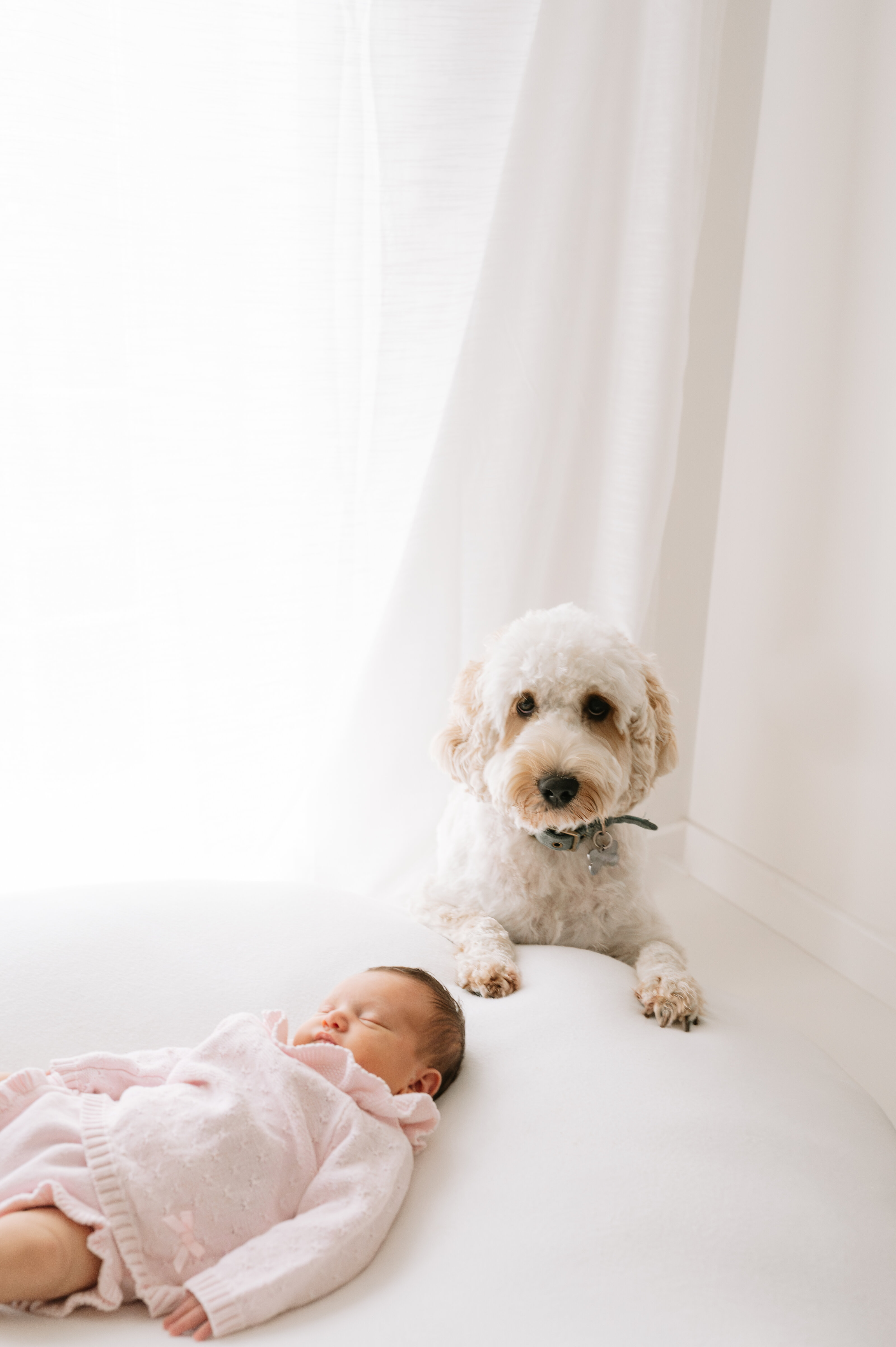 Newborn. York Newborn Photographer, York Baby Photographer, Yorkshire, Baby Photographers, Maternity, Sitter, Older Baby, family photographer, family photography, baby,, yorkshire, harrograte, leeds, ripon