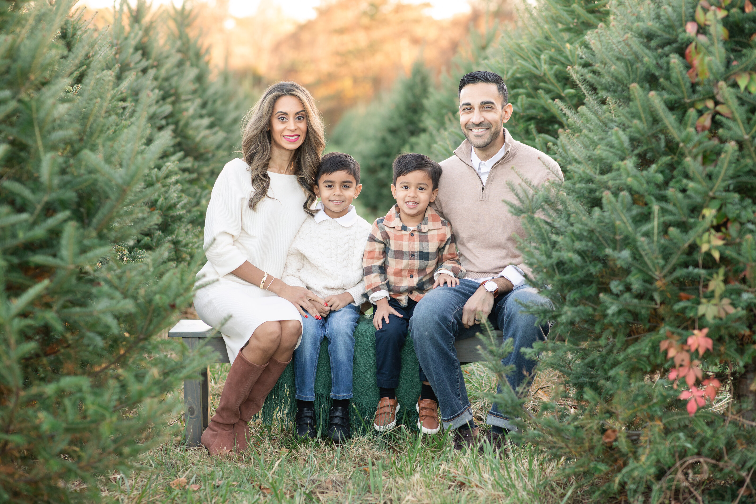 Tree Farm