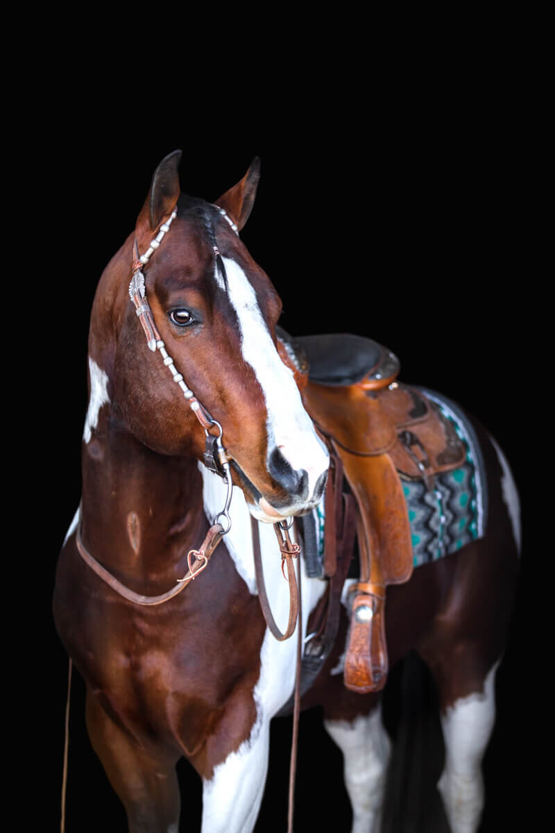 El-Paso-Texas-Fine-Art-Horse-Photographer-035